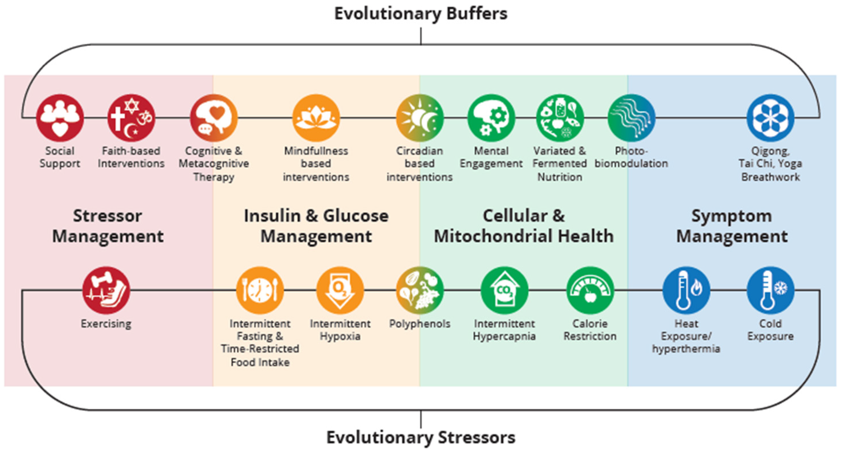 Biomedicines 12 02539 g003