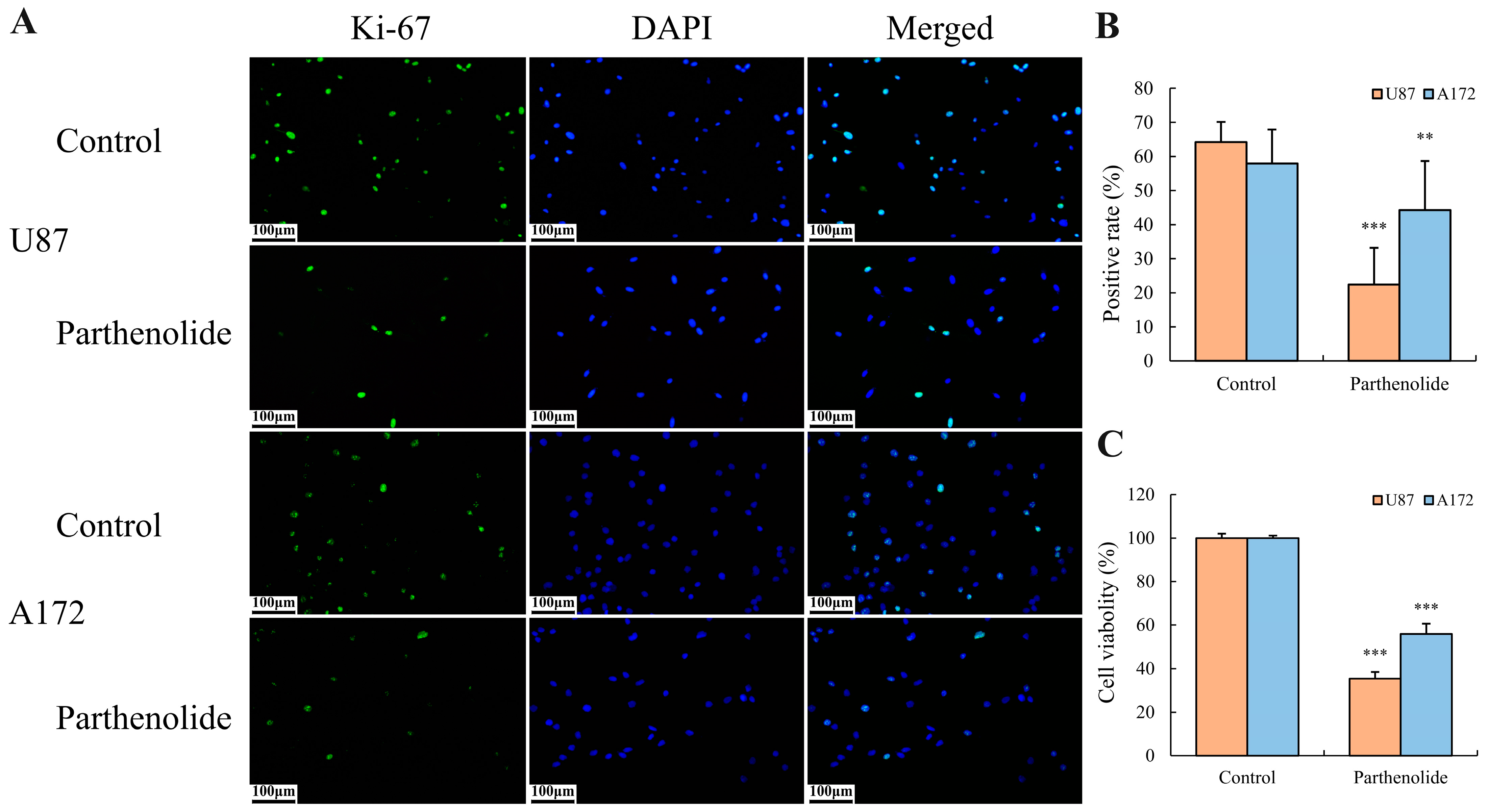 Biomedicines 12 02543 g003