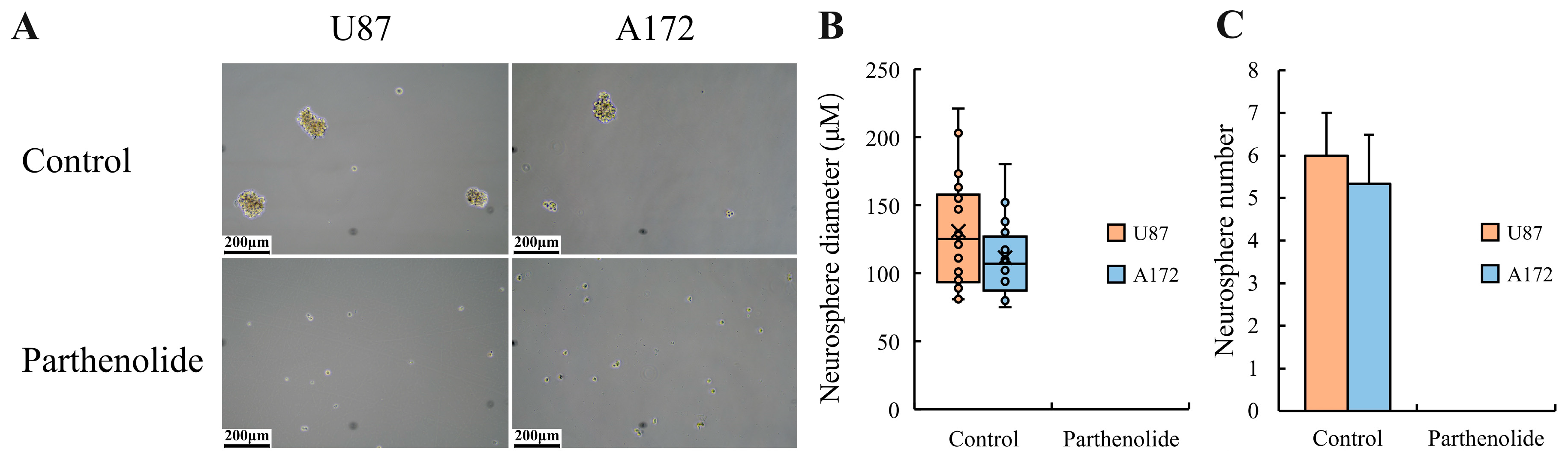 Biomedicines 12 02543 g004
