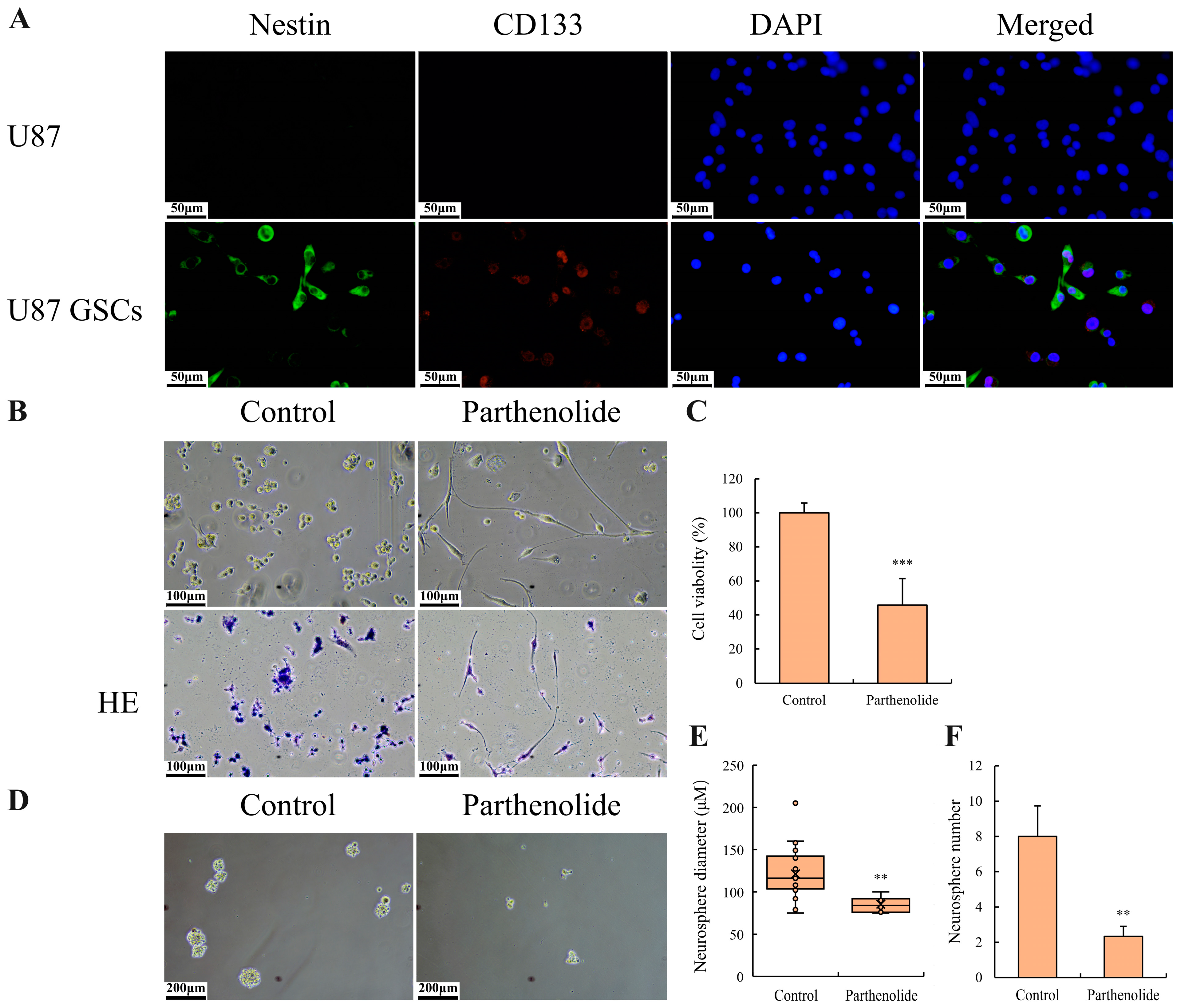 Biomedicines 12 02543 g005