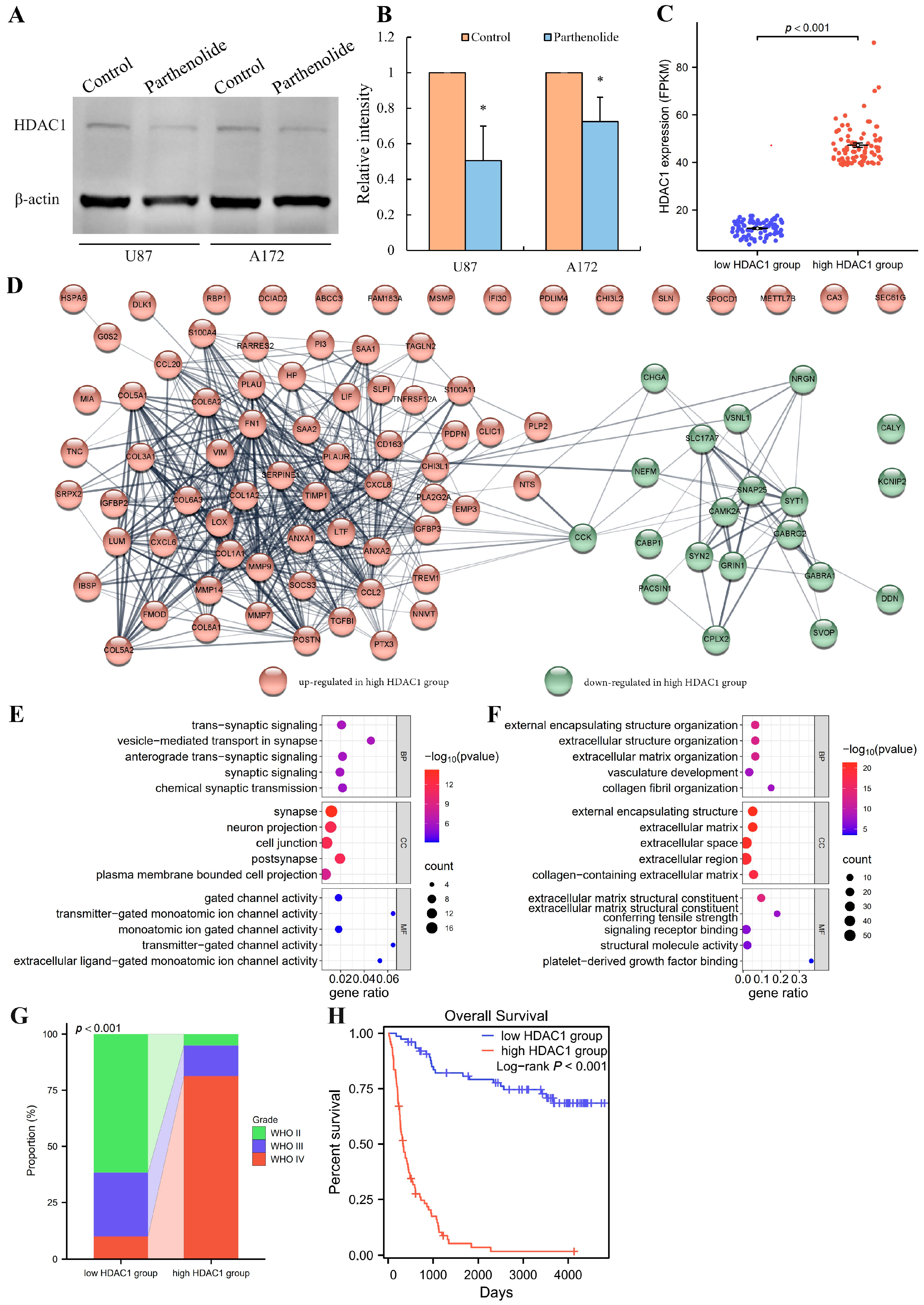 Biomedicines 12 02543 g006