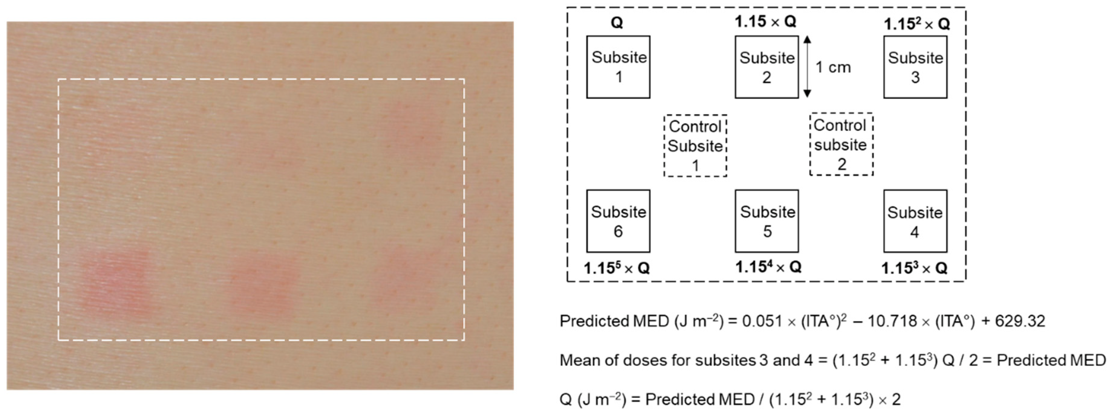 Biomedicines 12 02544 g001