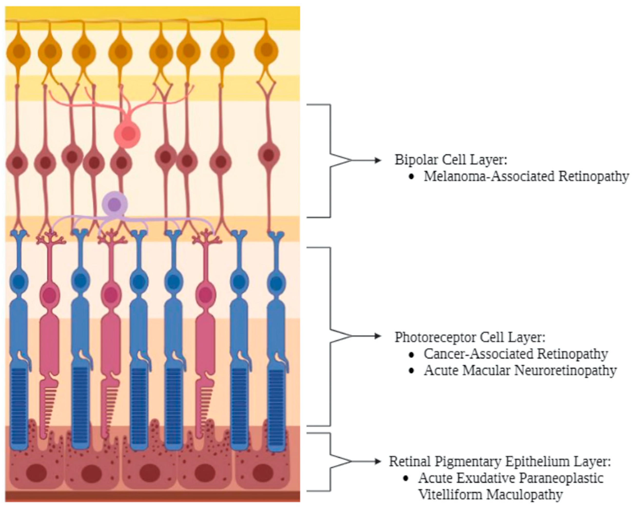Biomedicines 12 02547 g006