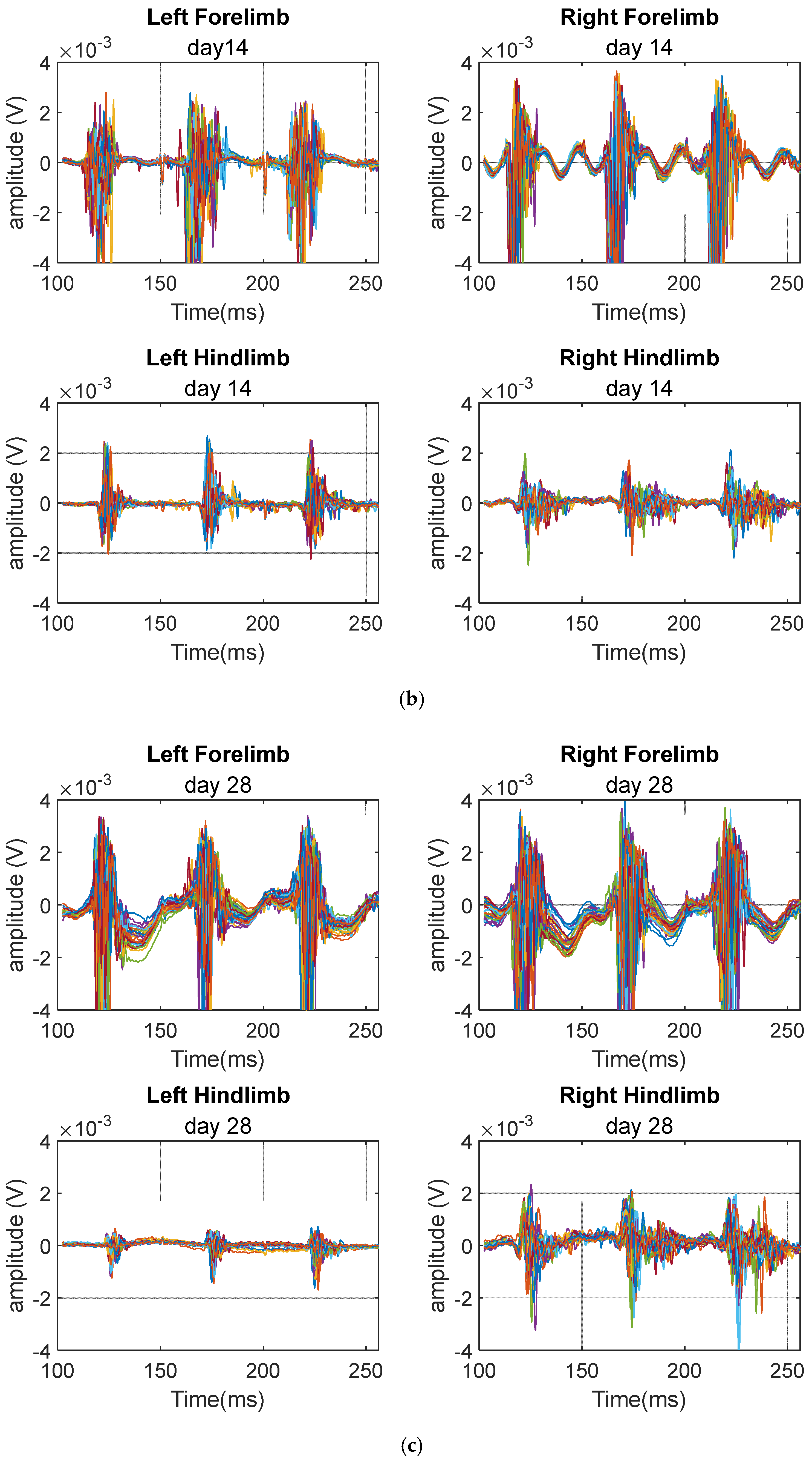 Biomedicines 12 02548 g003b