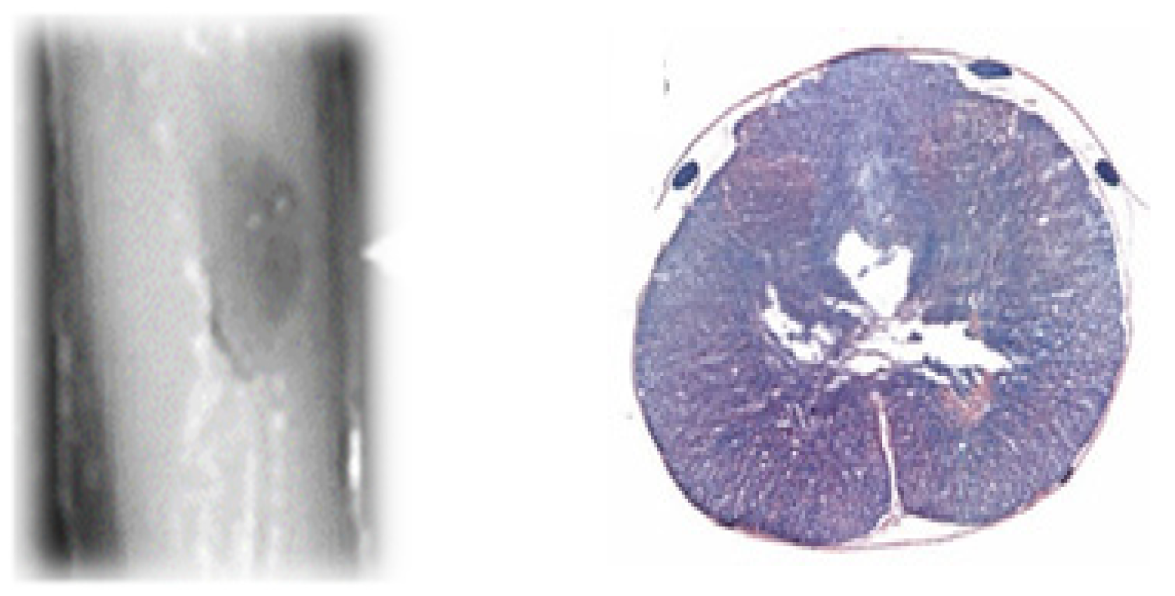 Biomedicines 12 02548 g010