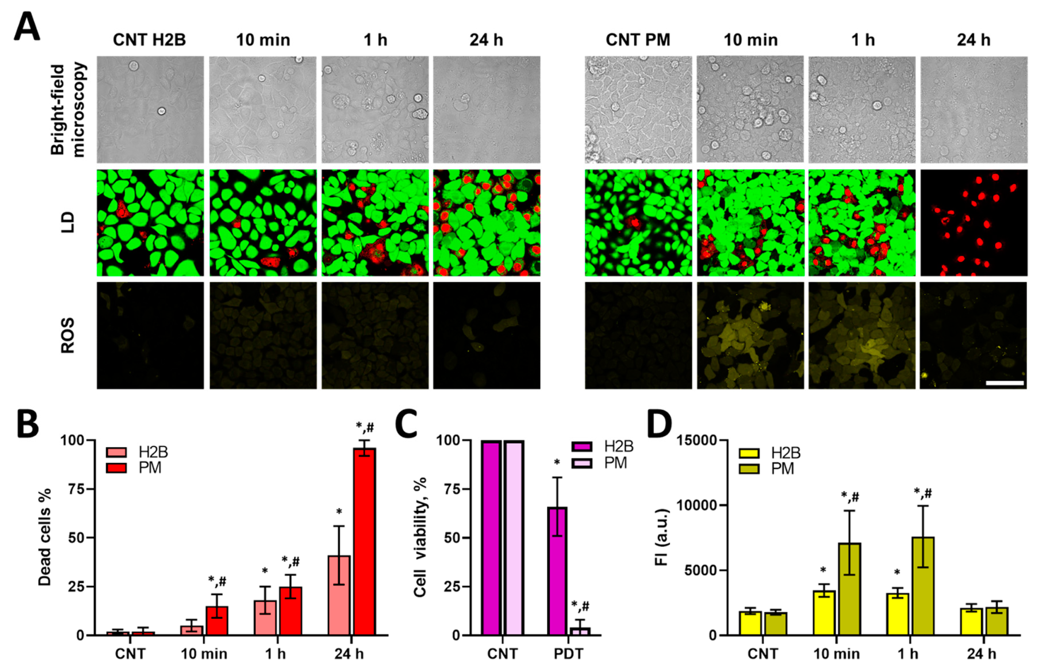 Biomedicines 12 02550 g004