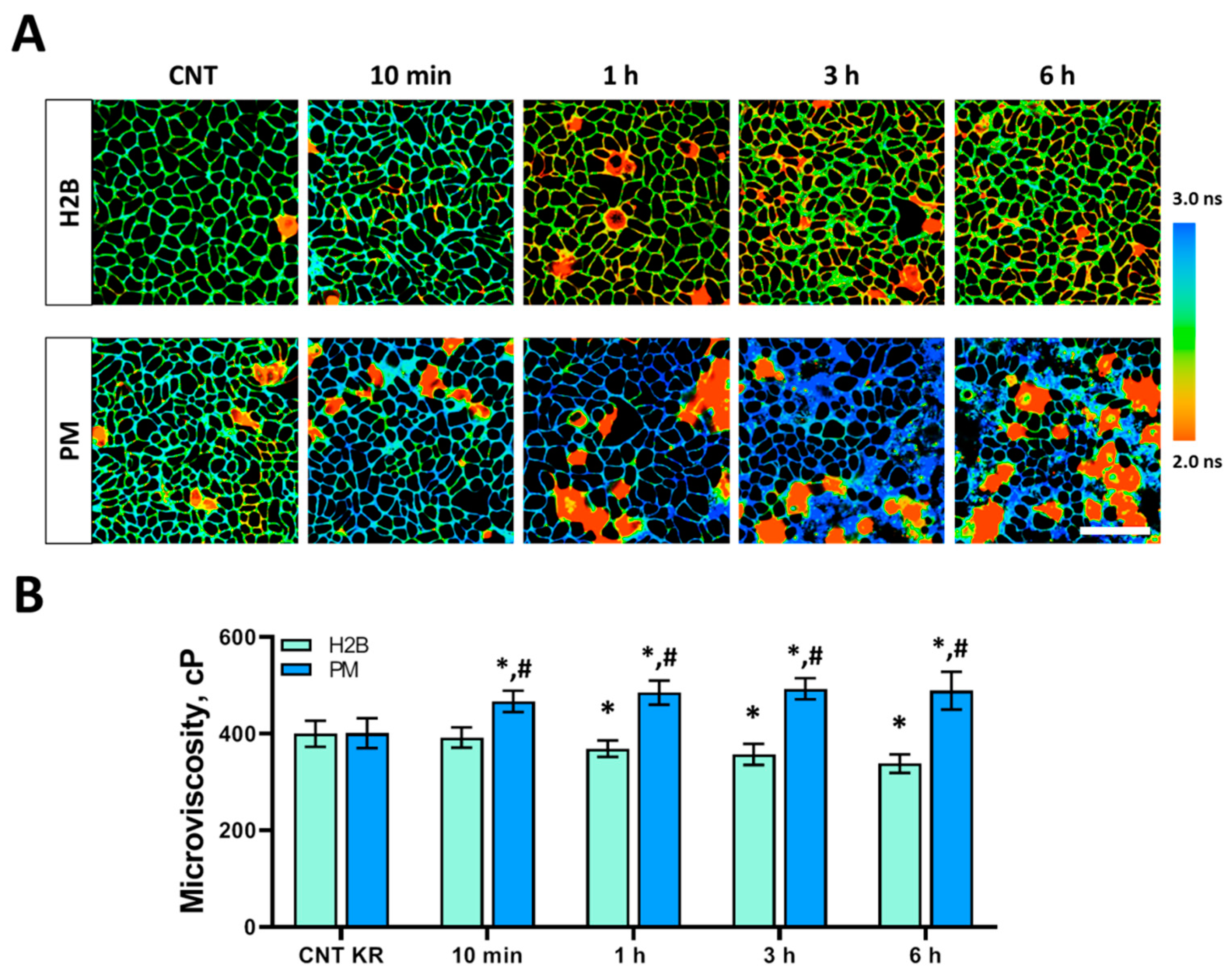Biomedicines 12 02550 g006