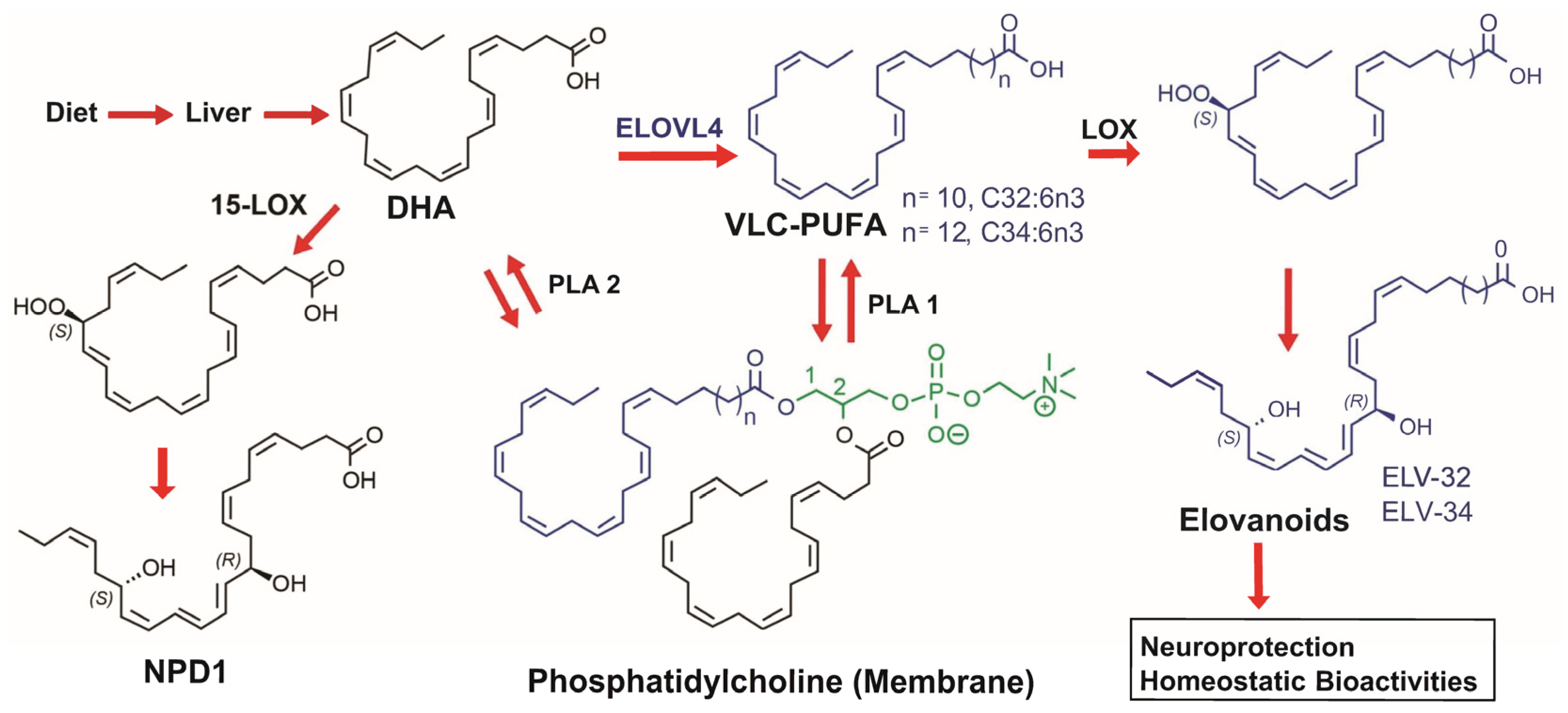 Biomedicines 12 02555 g001