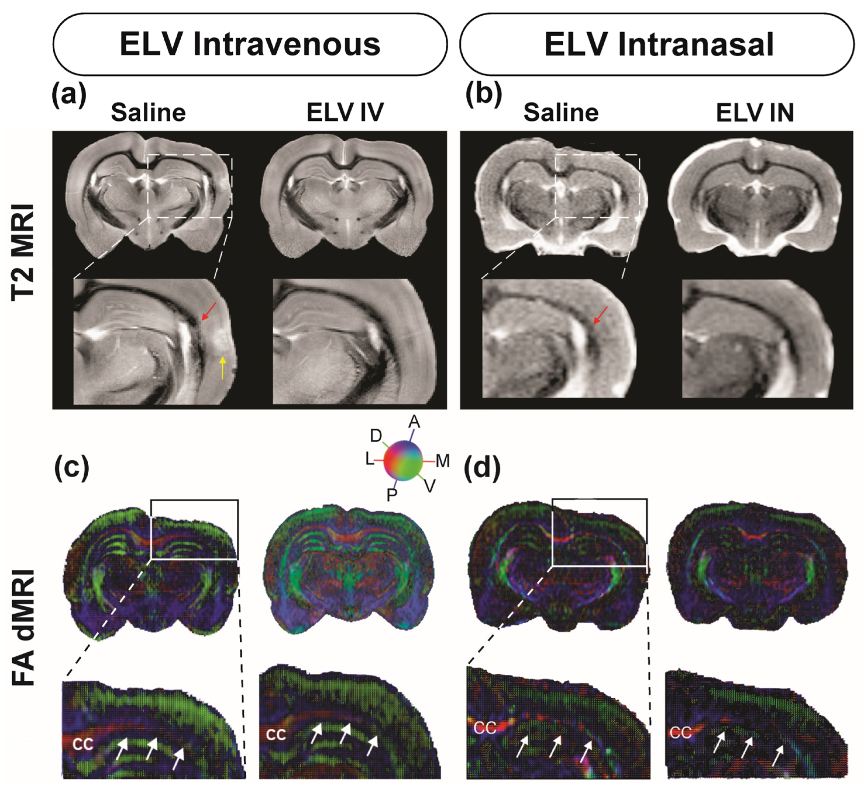 Biomedicines 12 02555 g003