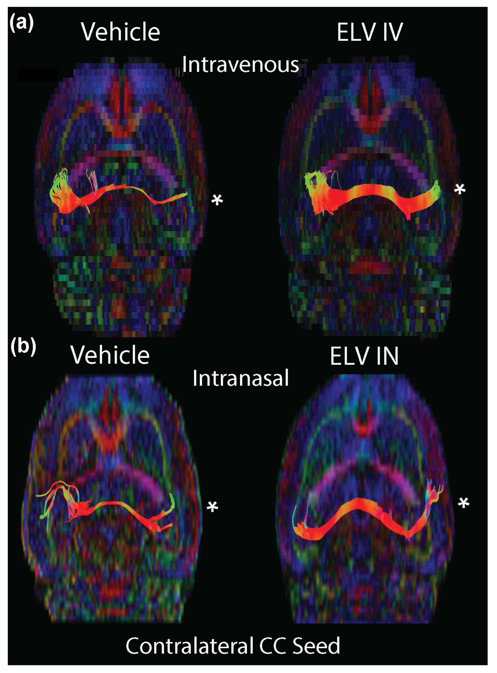 Biomedicines 12 02555 g004
