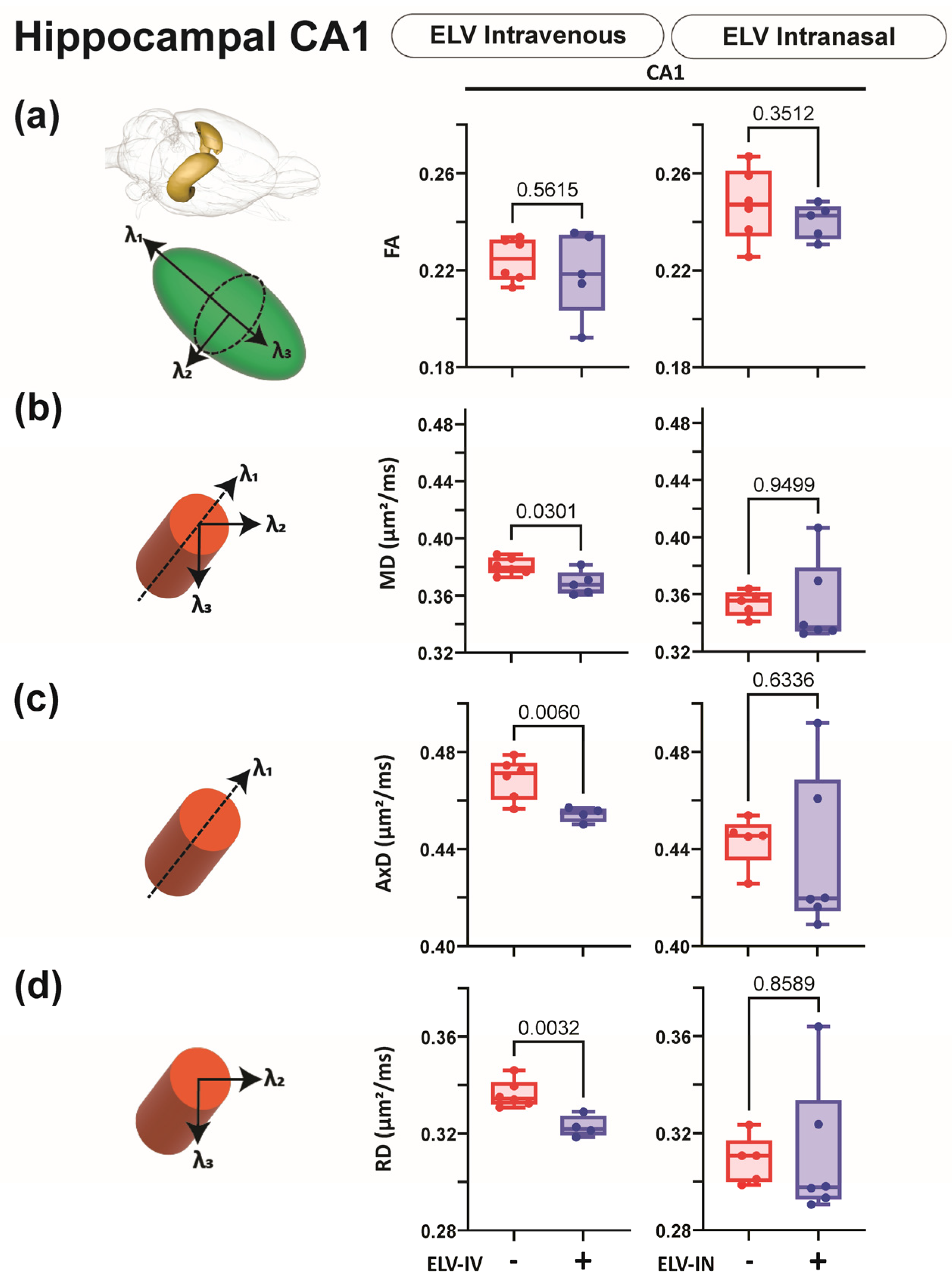 Biomedicines 12 02555 g009