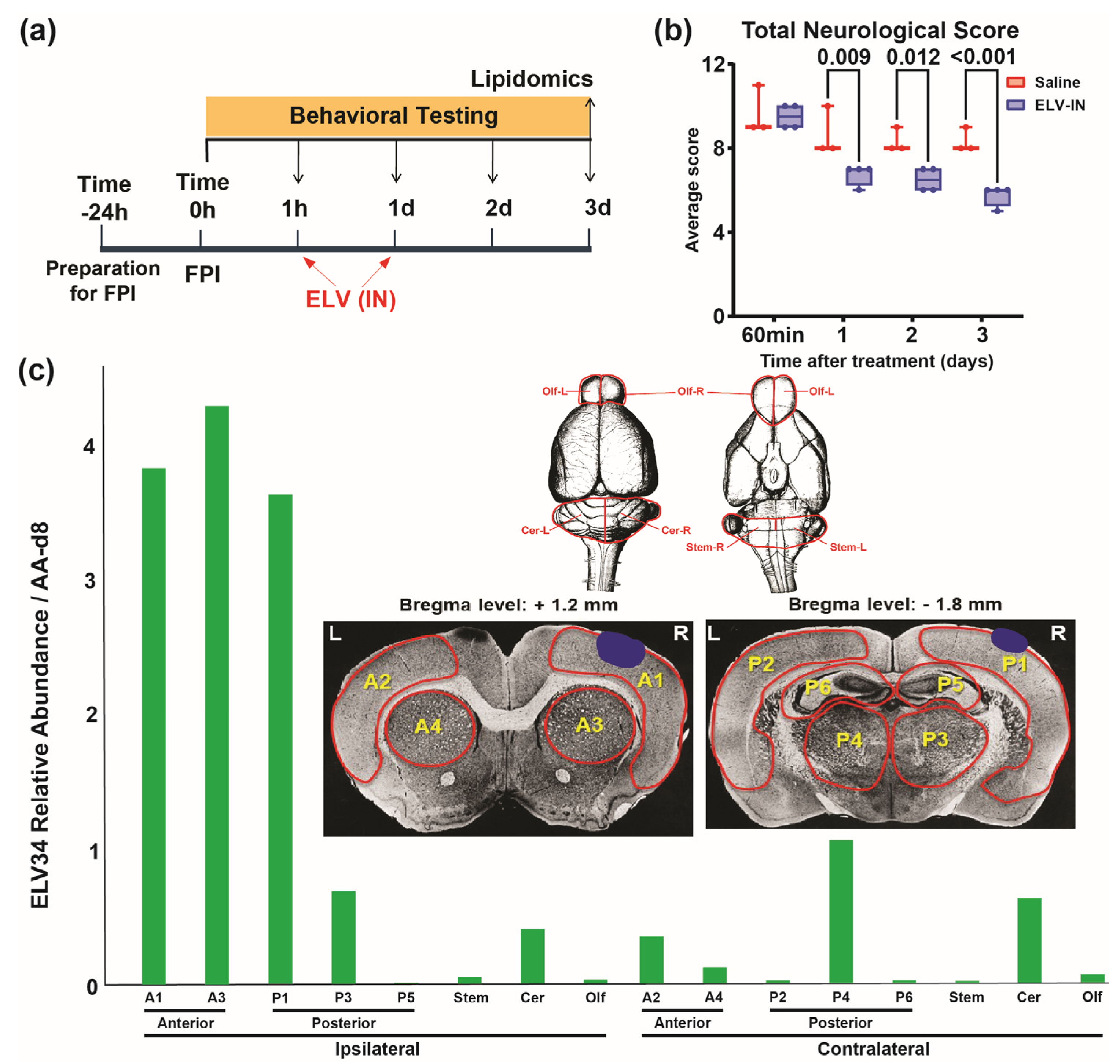 Biomedicines 12 02555 g010