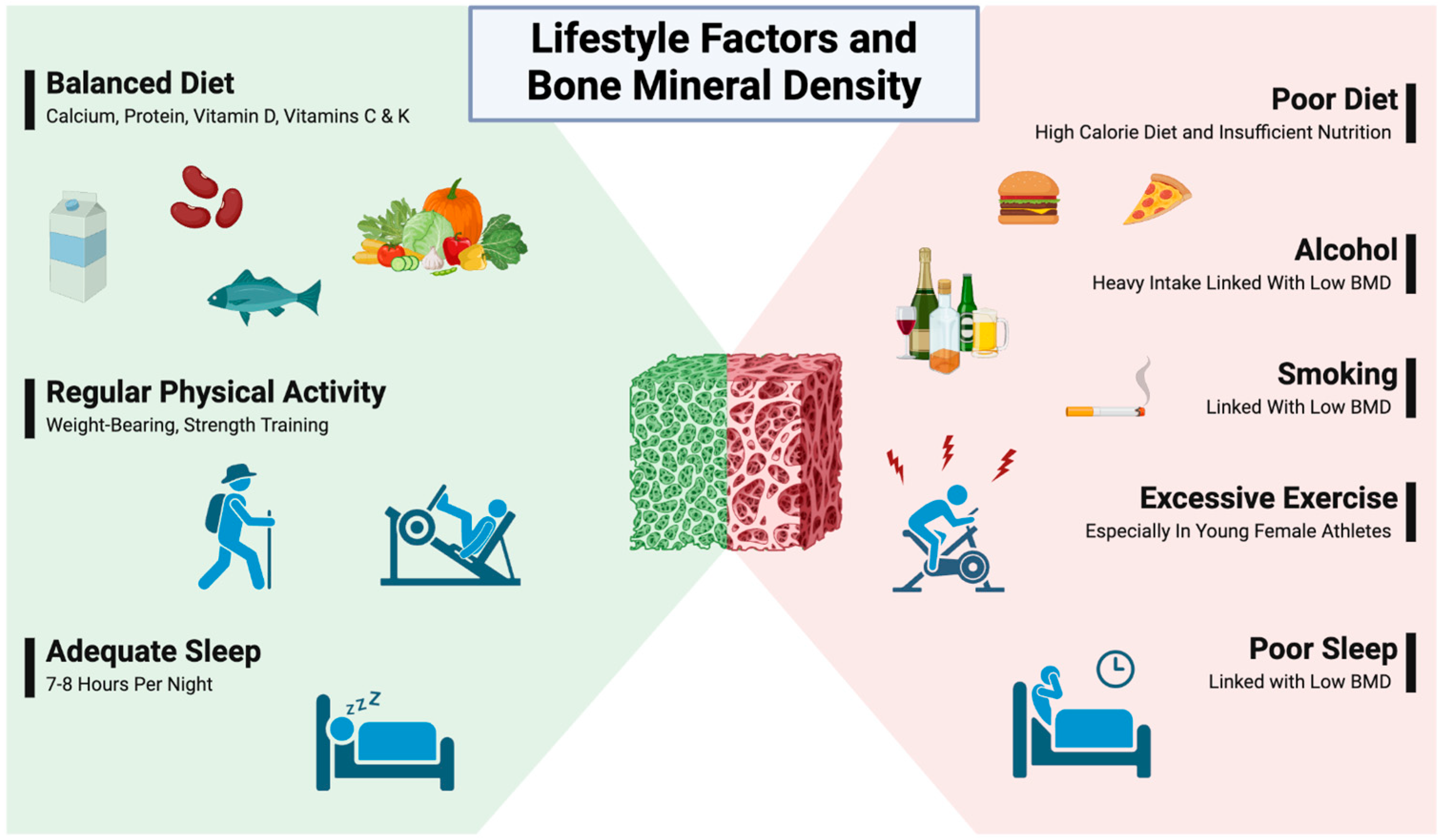 Biomedicines 12 02558 g002