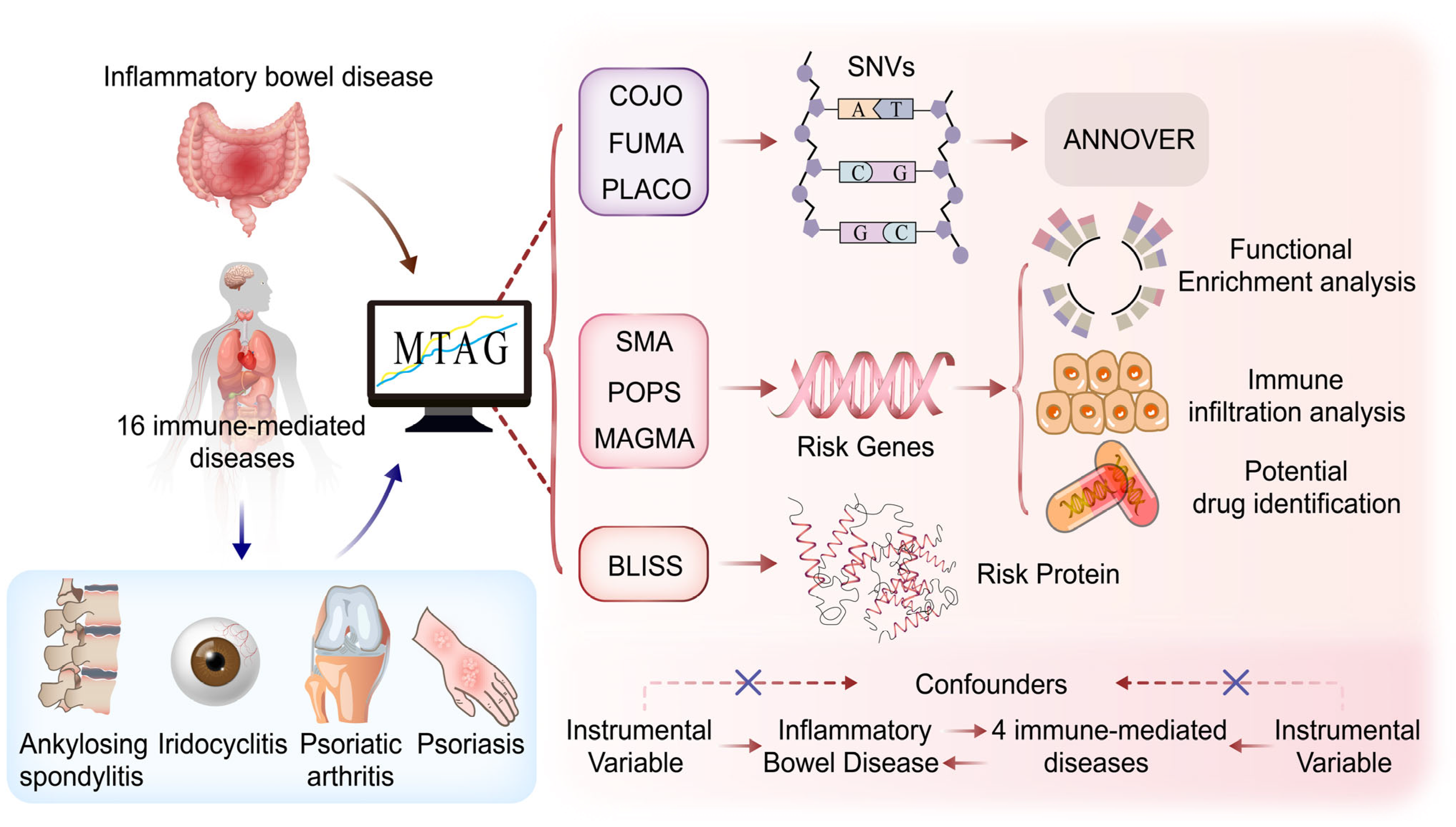 Biomedicines 12 02562 g001