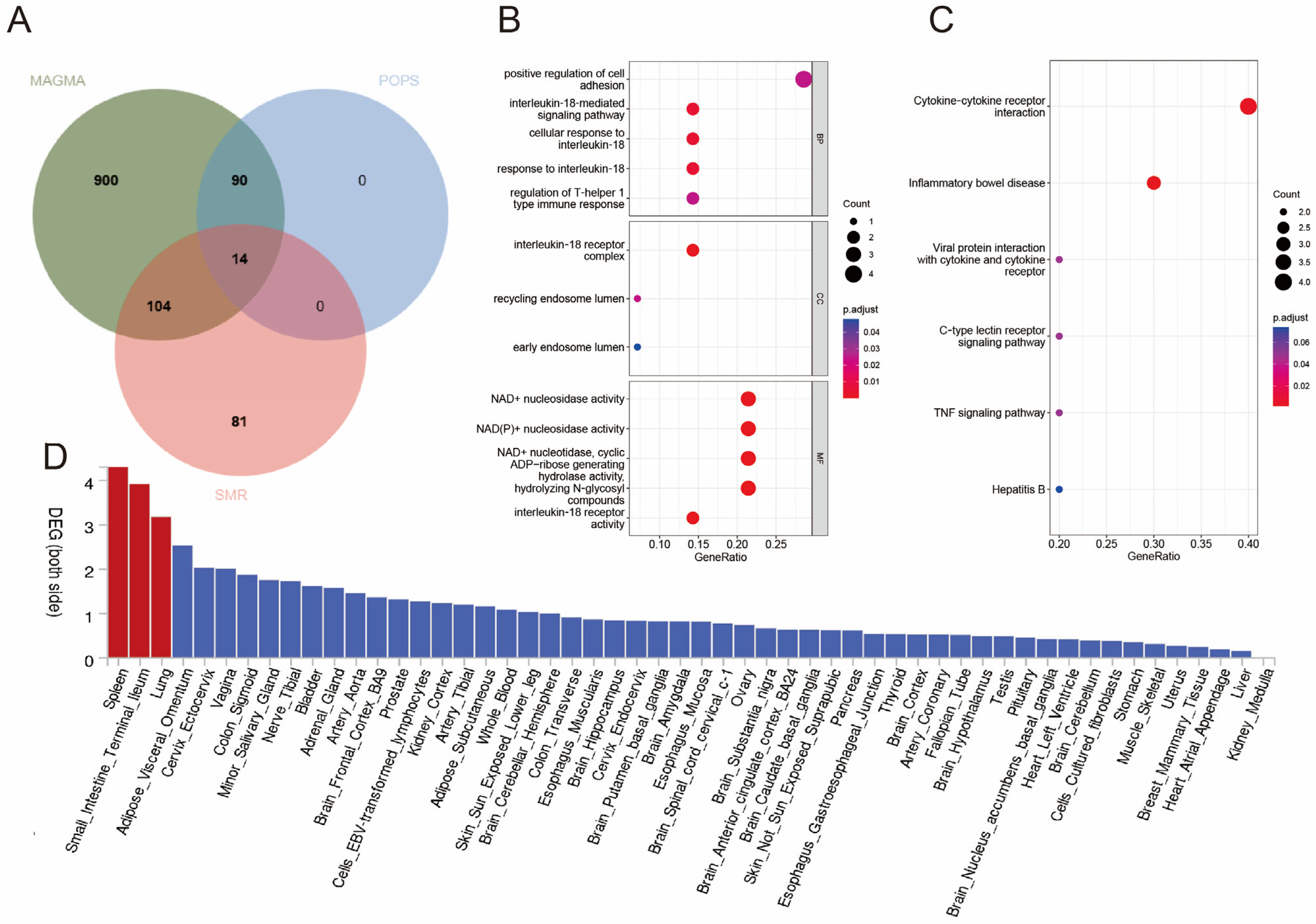 Biomedicines 12 02562 g003
