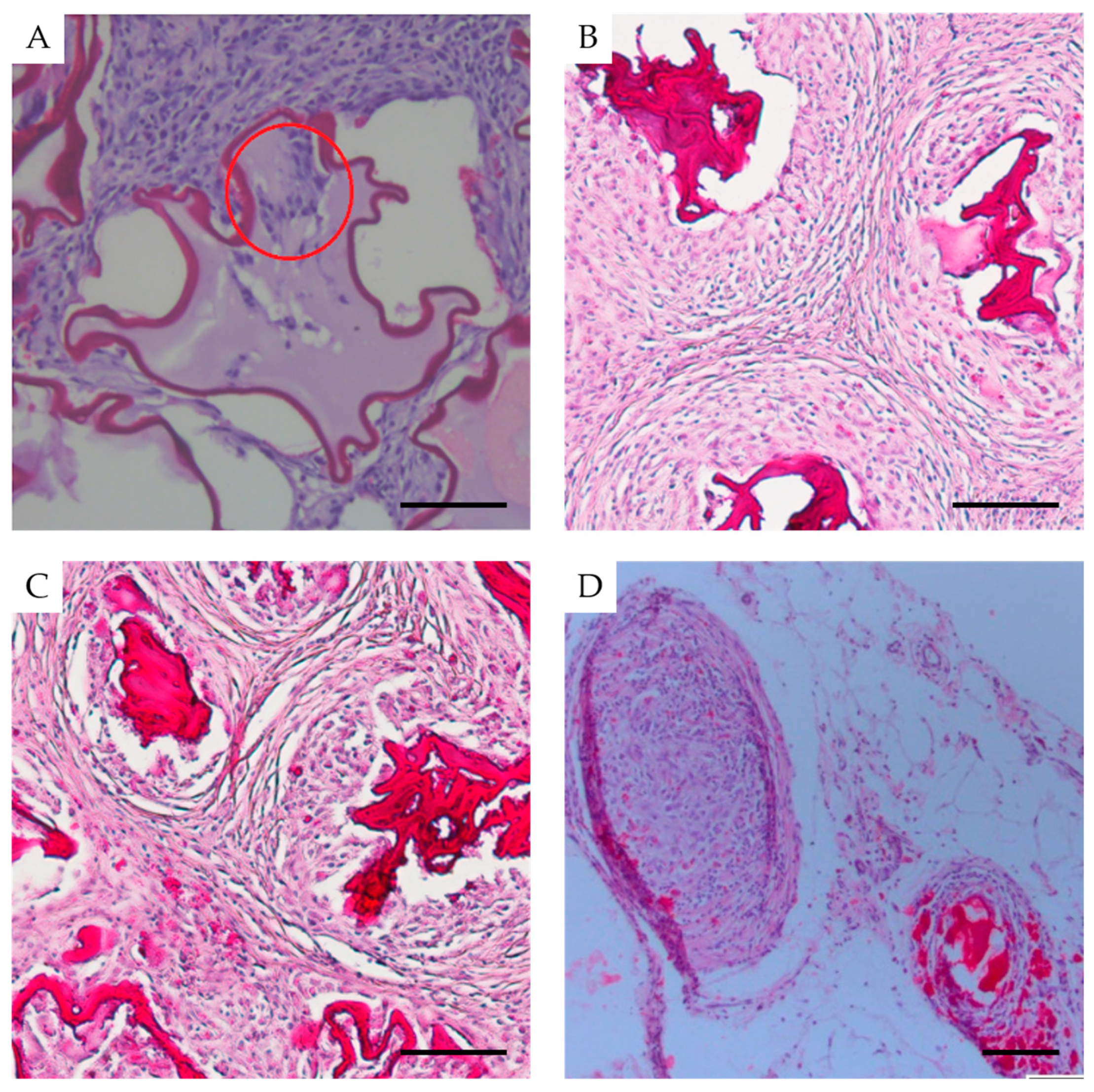 Biomedicines 12 02573 g007