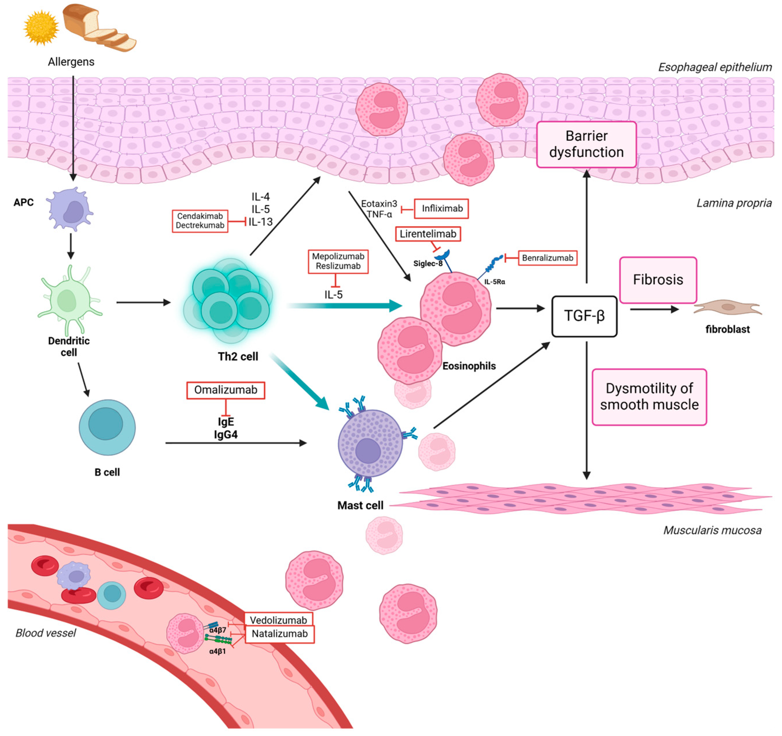 Biomedicines 12 02576 g001 Biomedicines 12 02576 g001