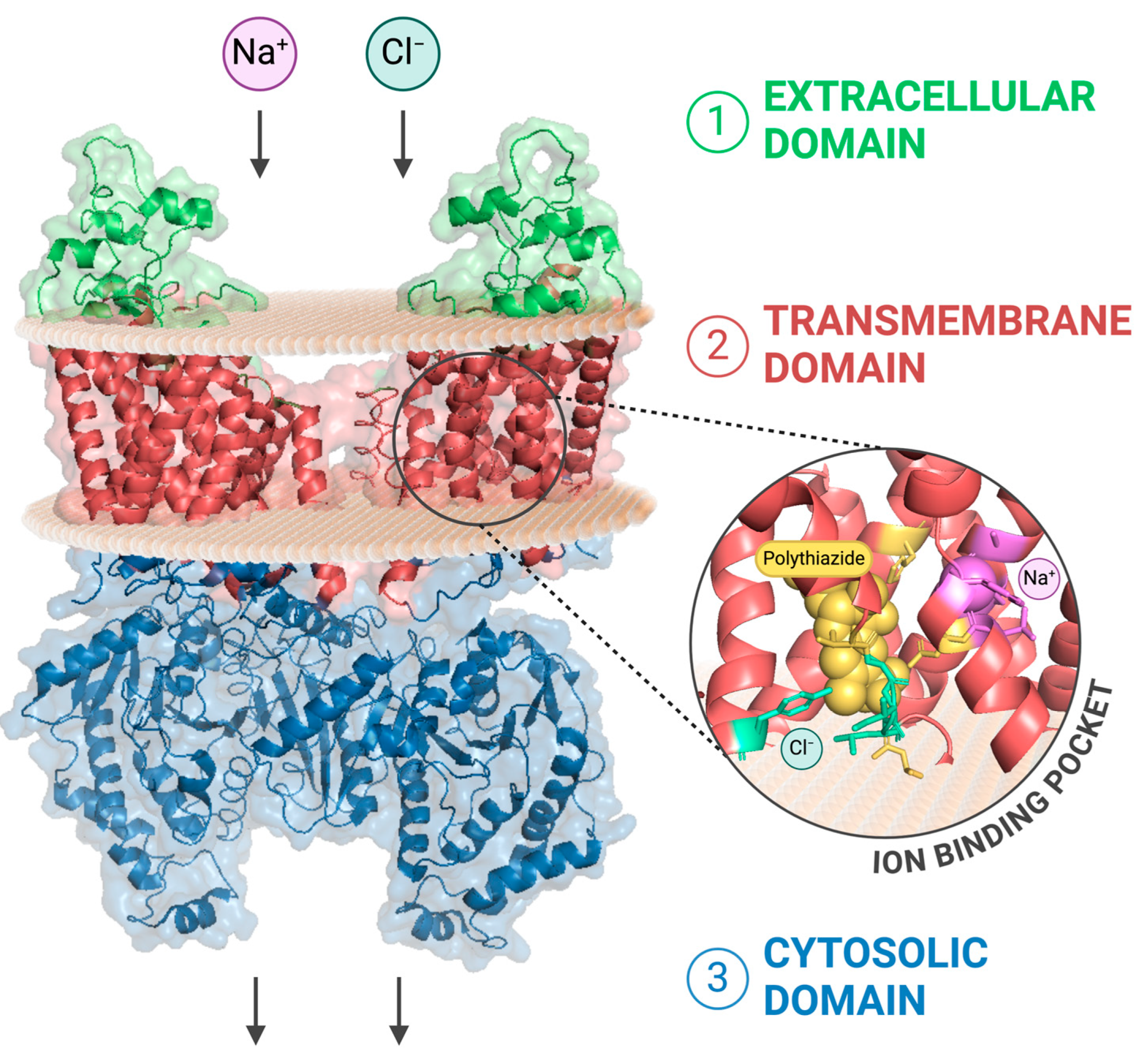 Biomedicines 12 02580 g002 Biomedicines 12 02580 g002