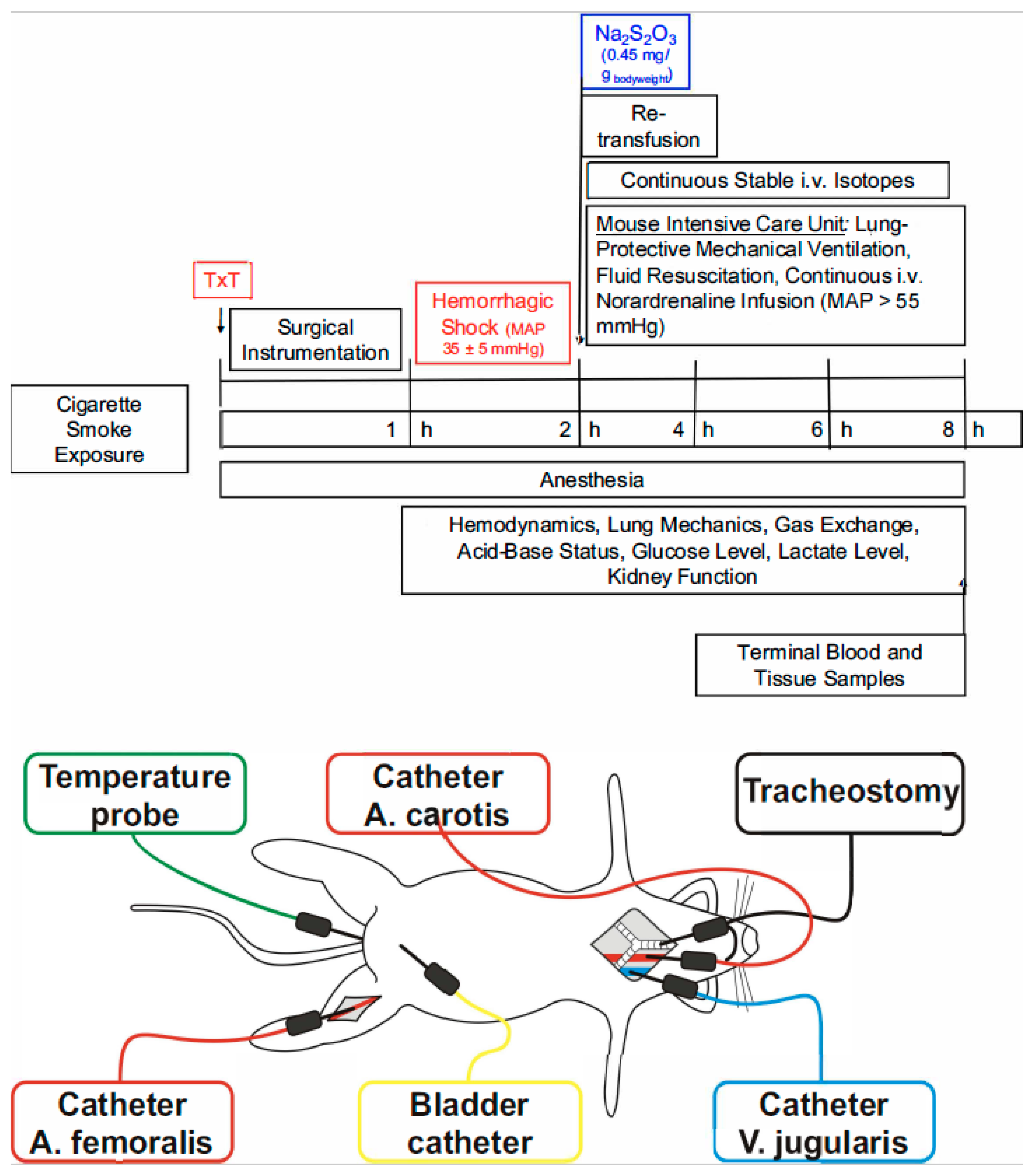 Biomedicines 12 02581 g001