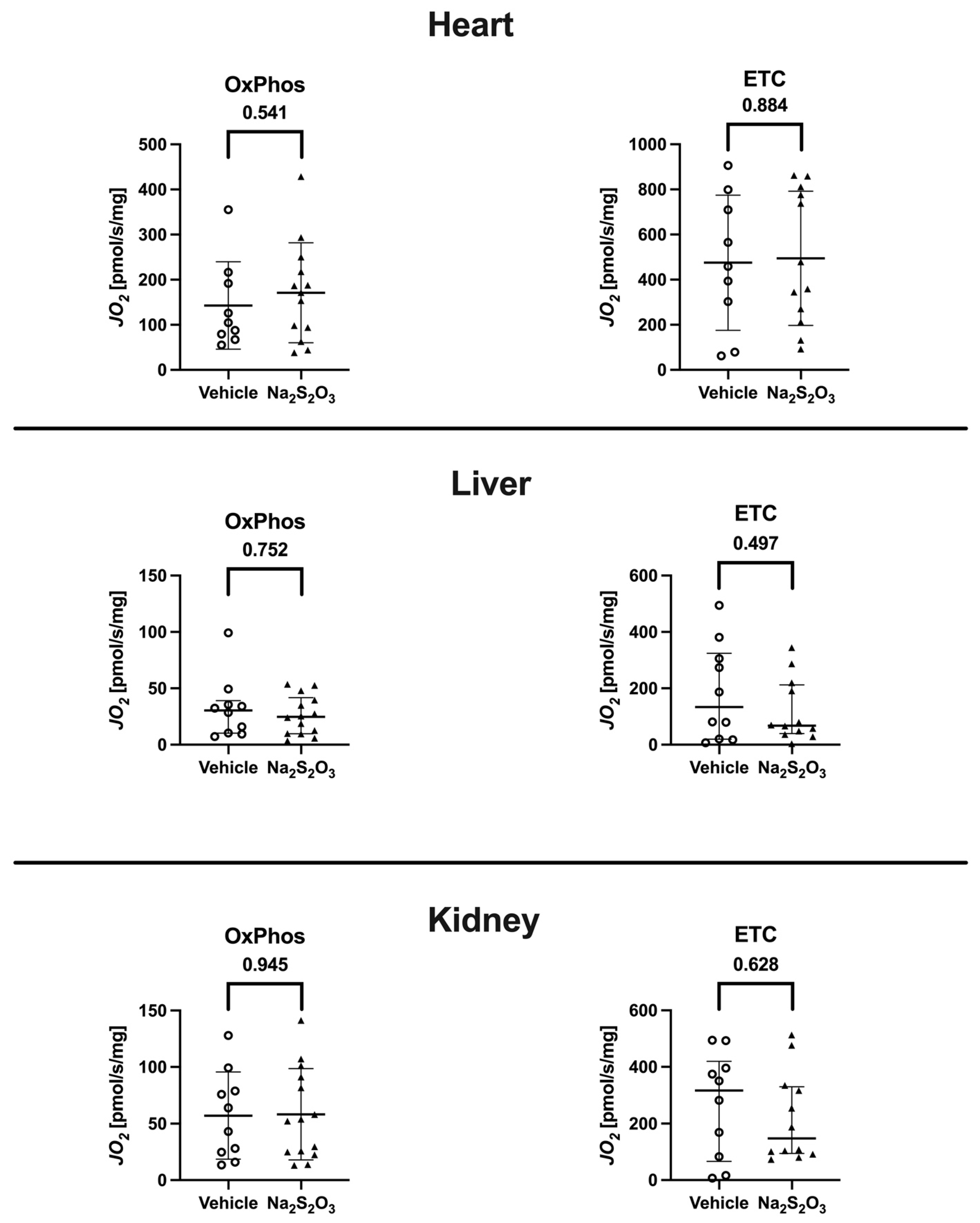 Biomedicines 12 02581 g004