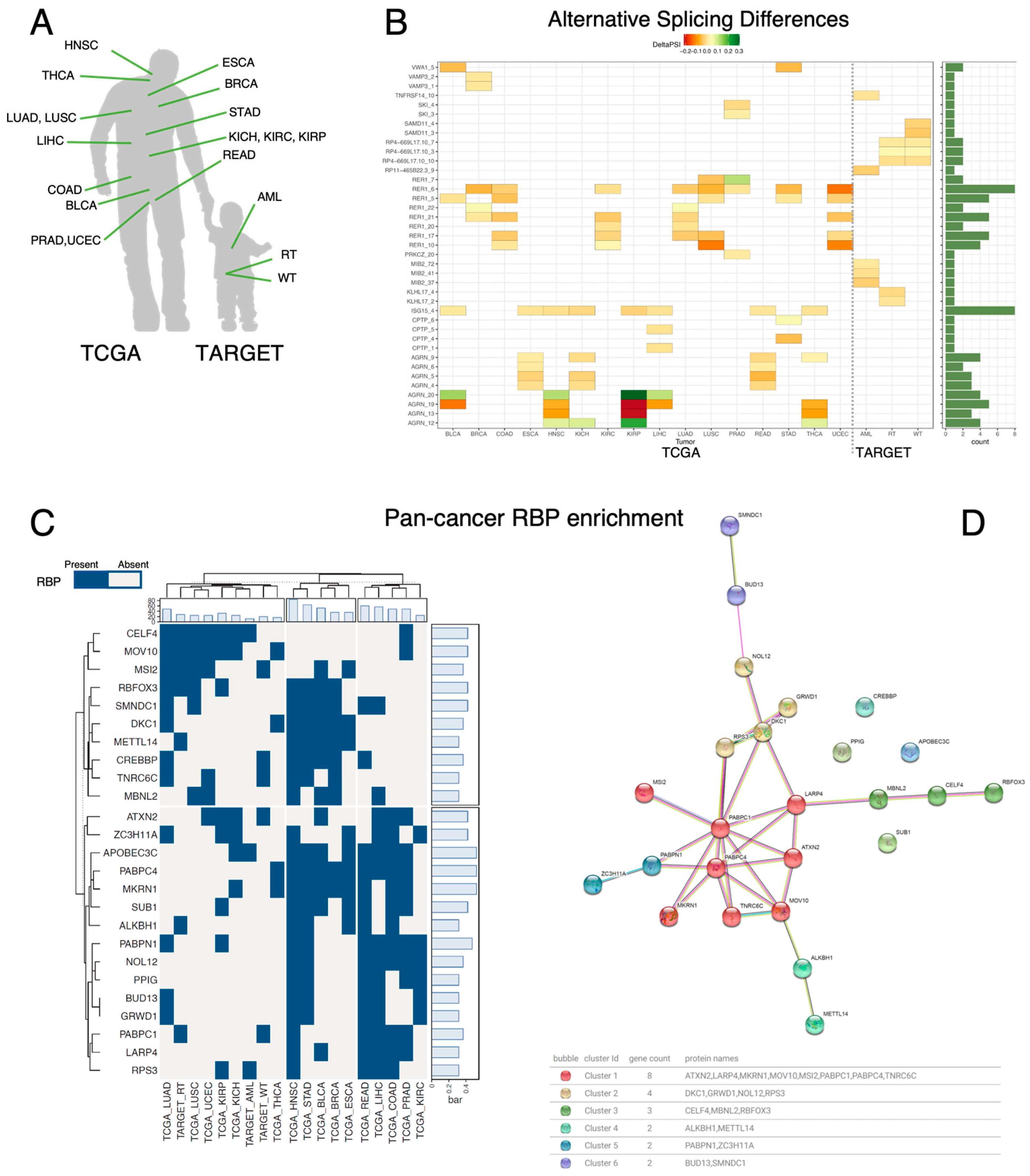 Biomedicines 12 02592 g003
