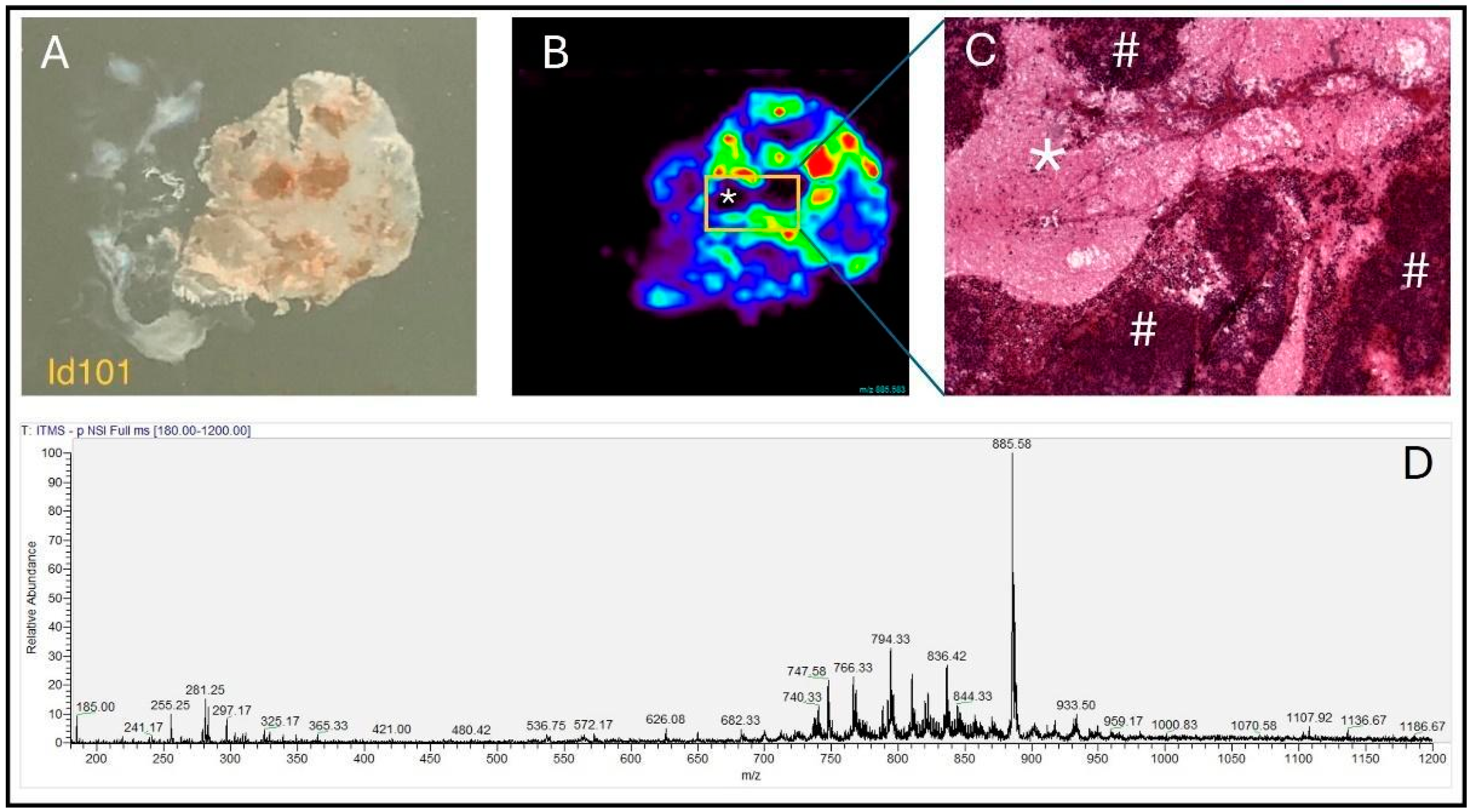 Biomedicines 12 02593 g002