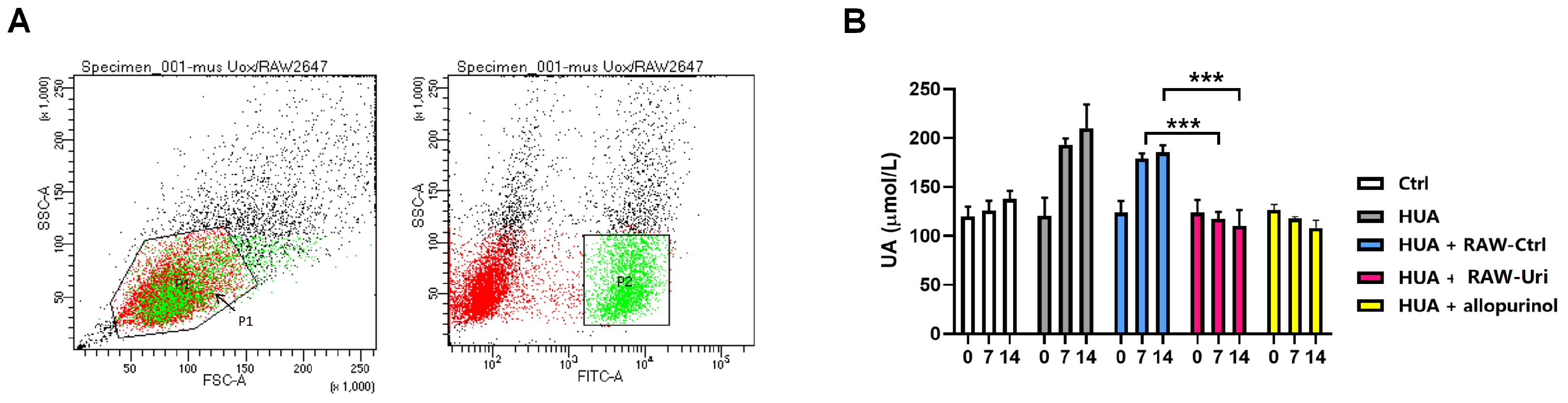 Biomedicines 12 02602 g003