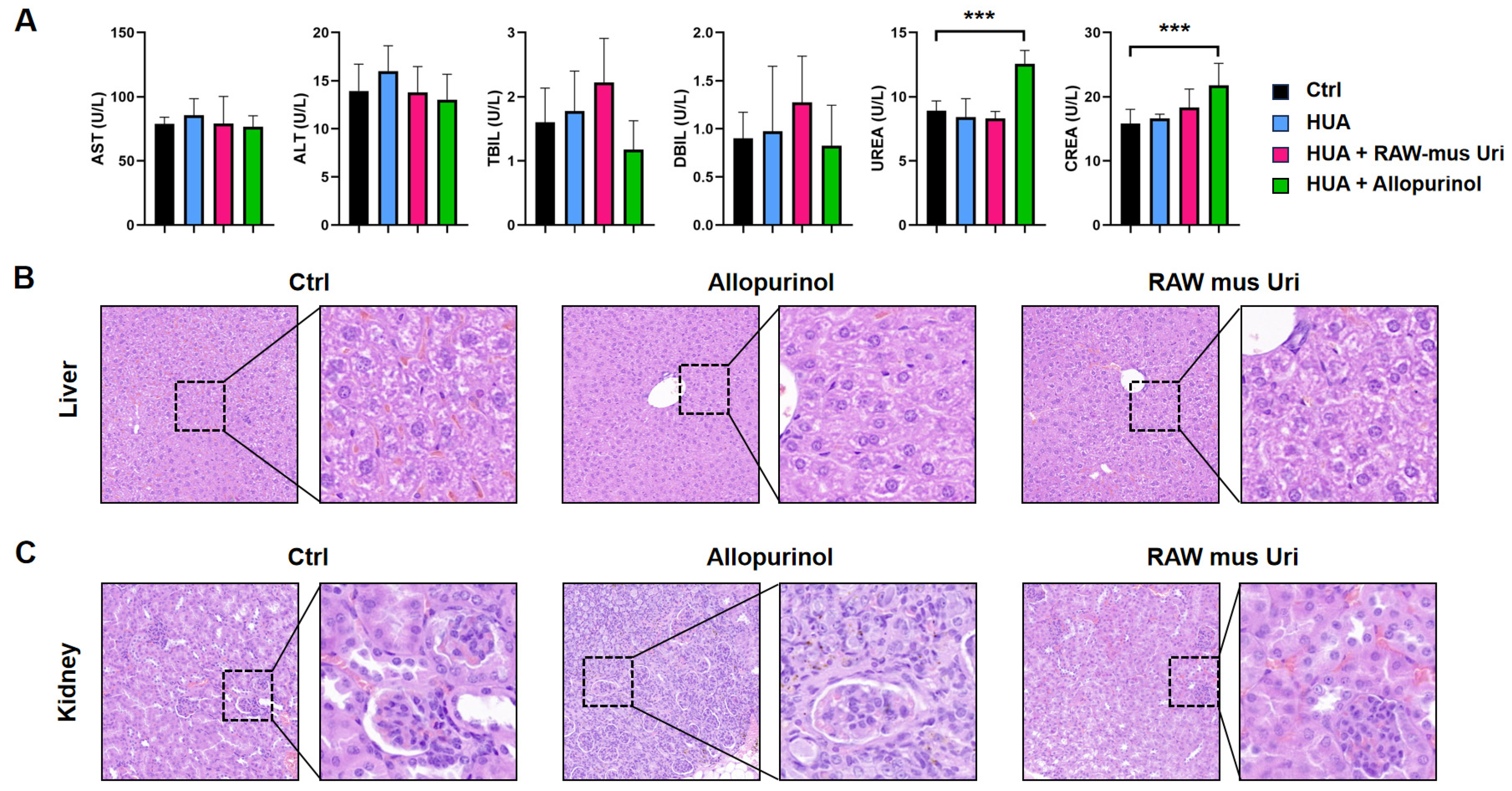 Biomedicines 12 02602 g004