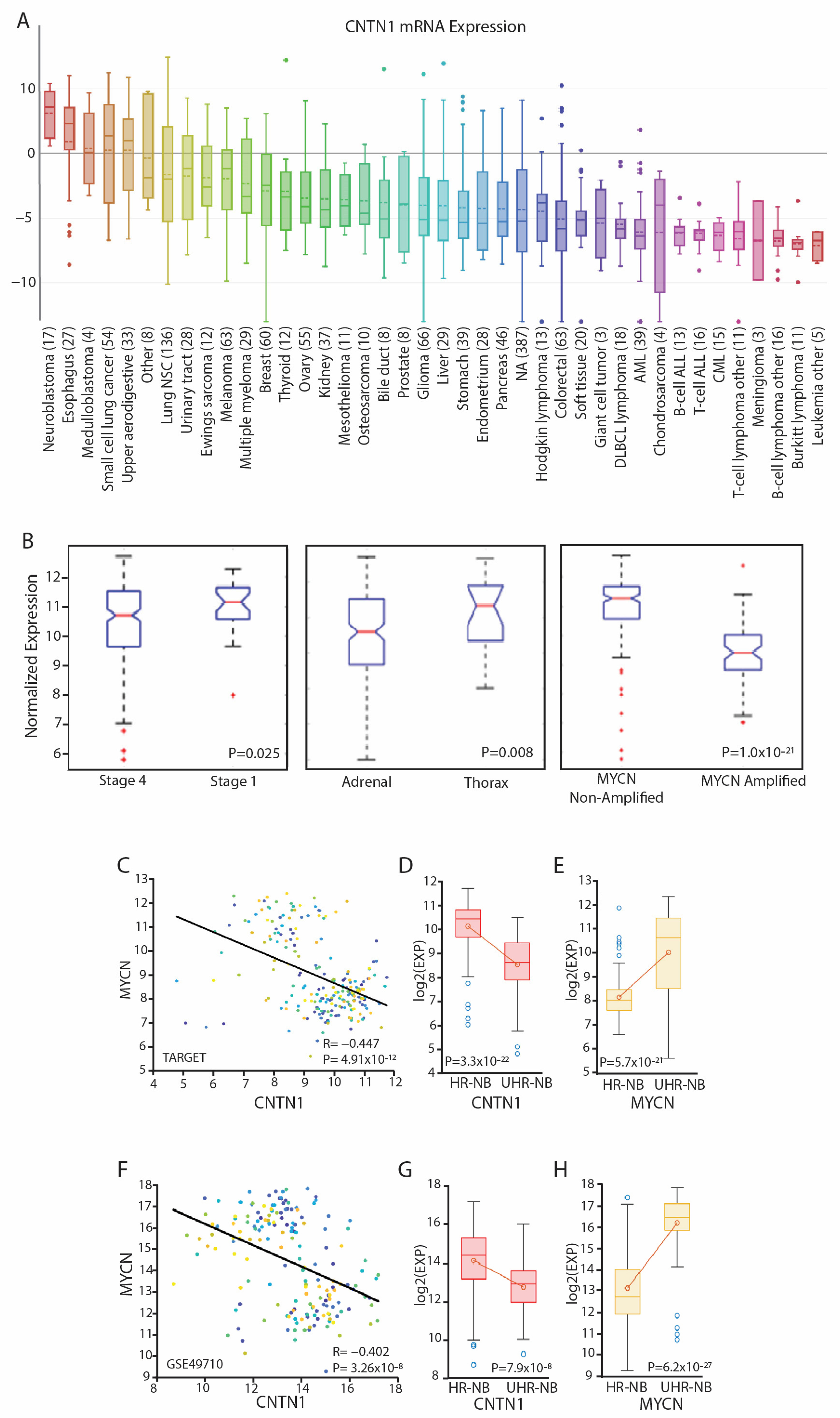 Biomedicines 12 02606 g001 Biomedicines 12 02606 g001