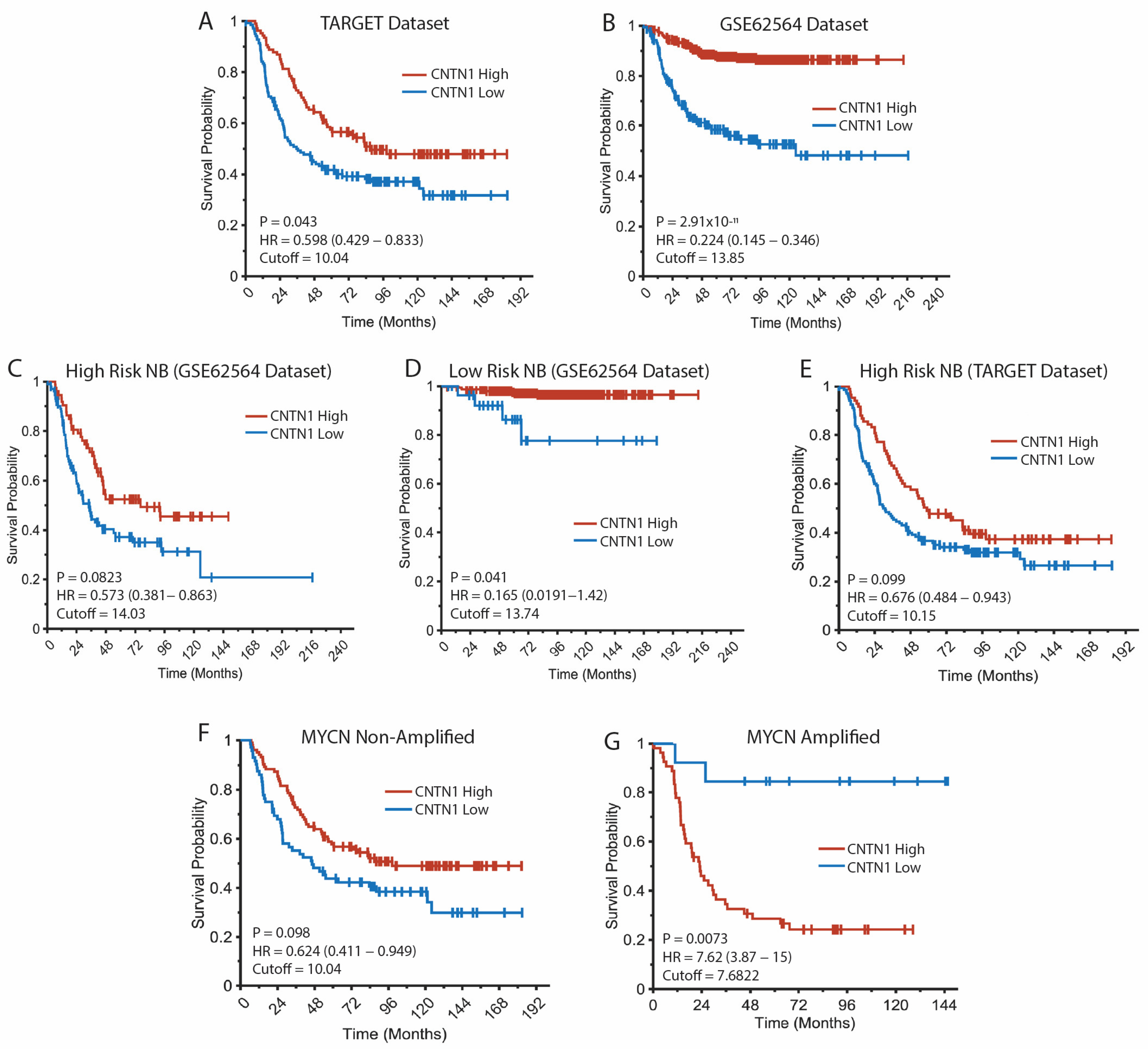 Biomedicines 12 02606 g002 Biomedicines 12 02606 g002