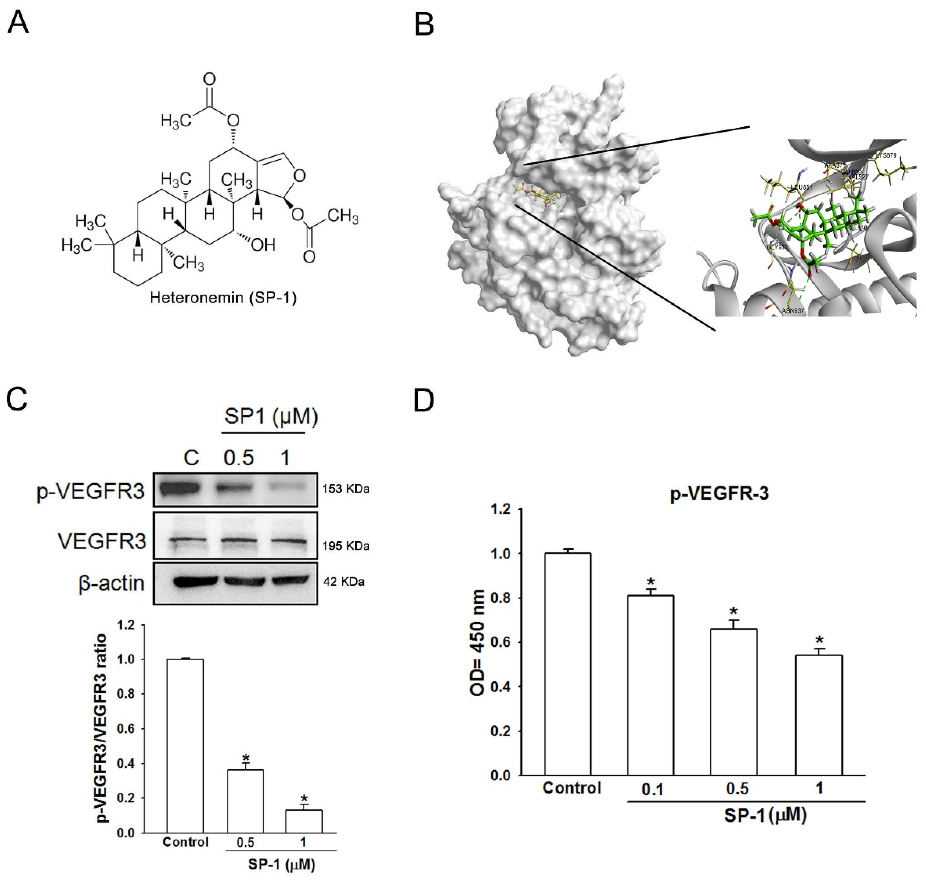 Biomedicines 12 02609 g001