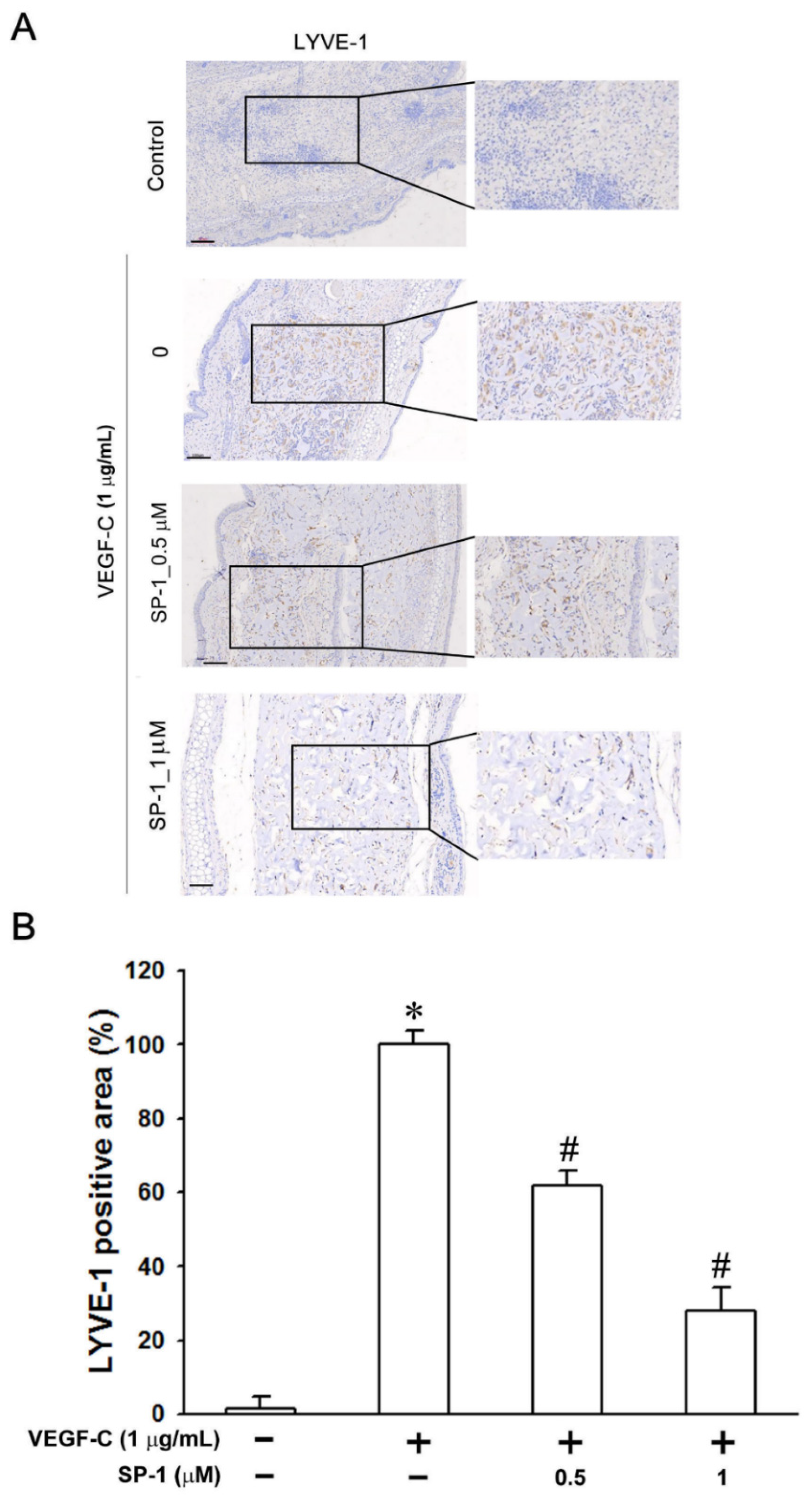 Biomedicines 12 02609 g003