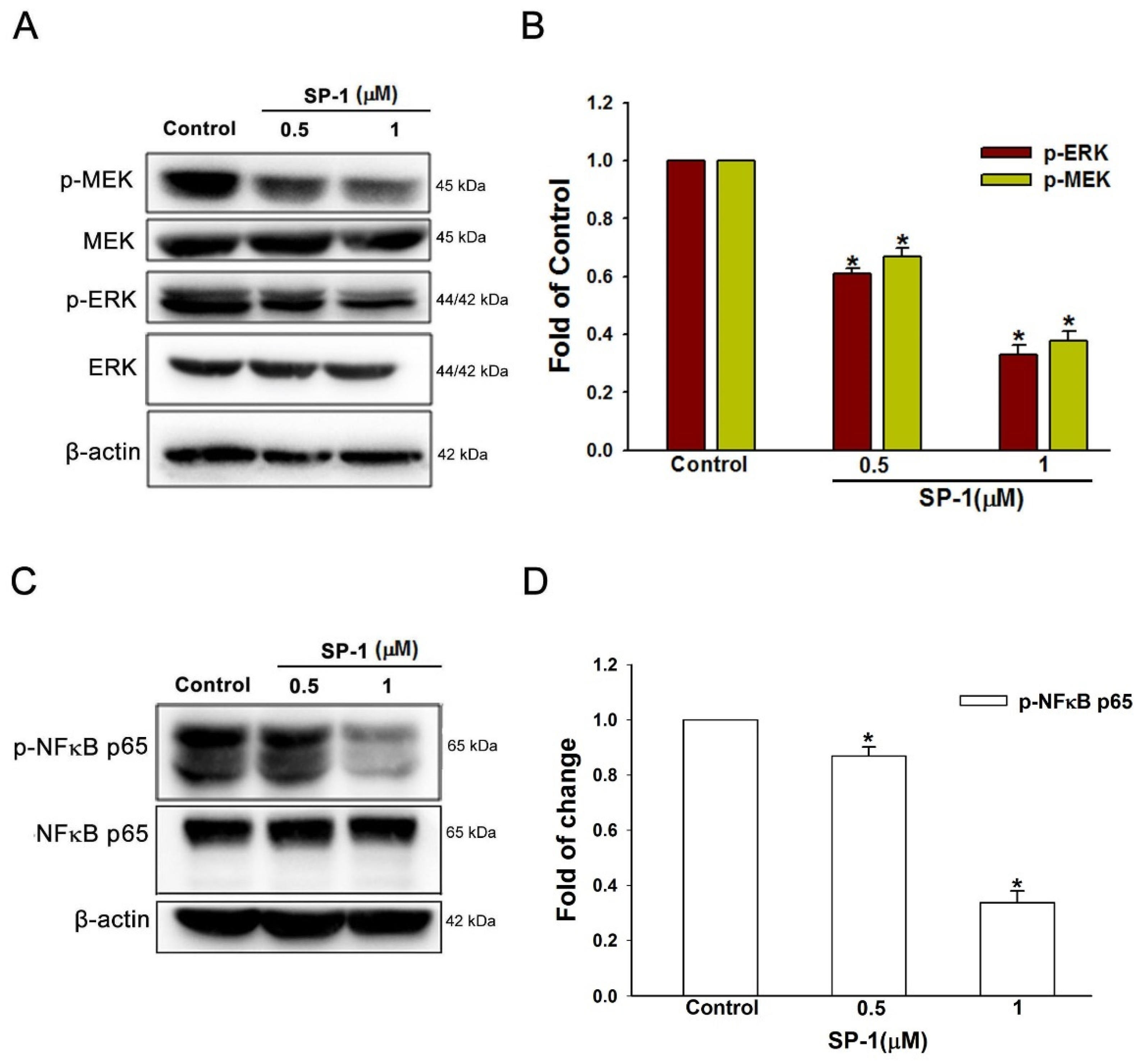 Biomedicines 12 02609 g005