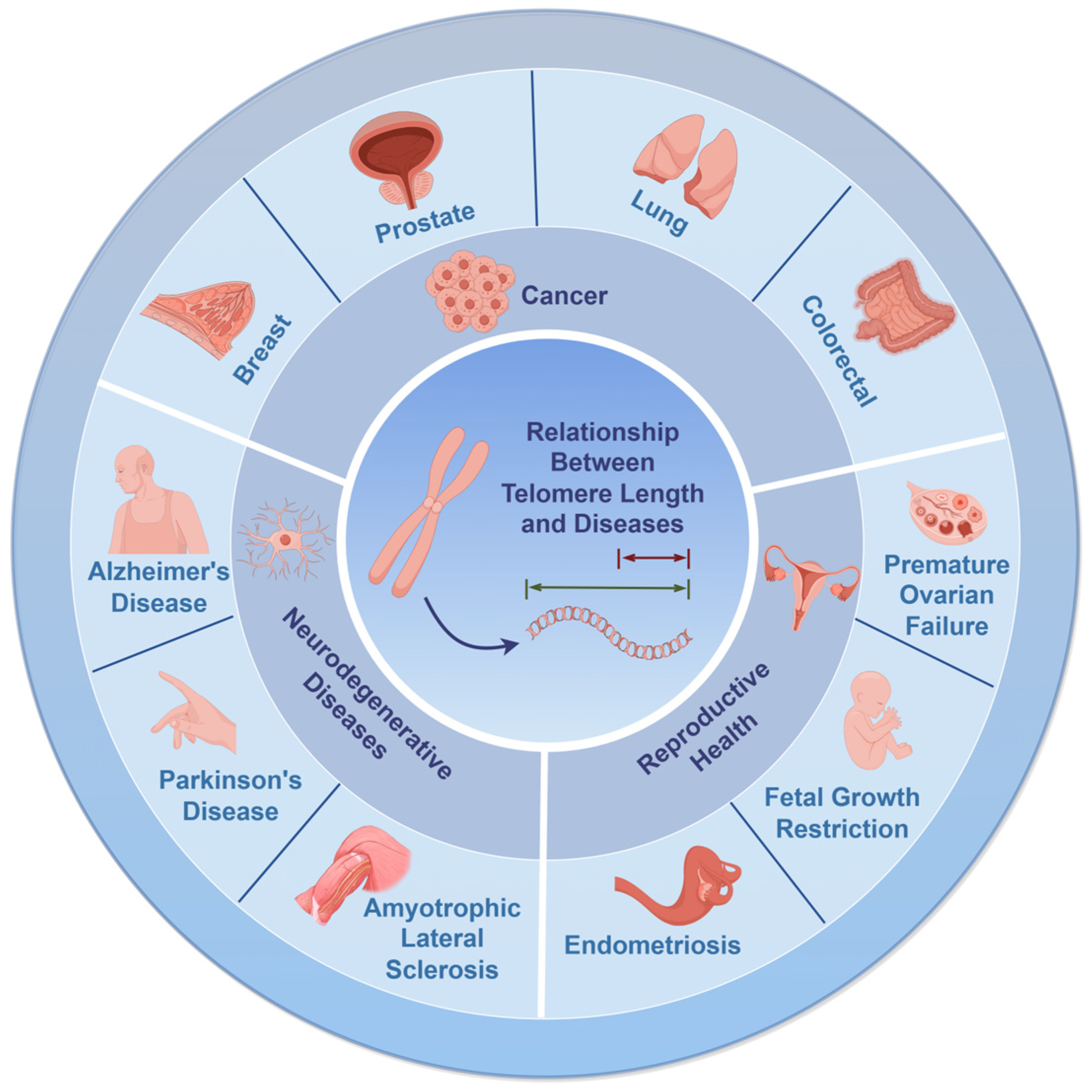 Biomedicines 12 02611 g002