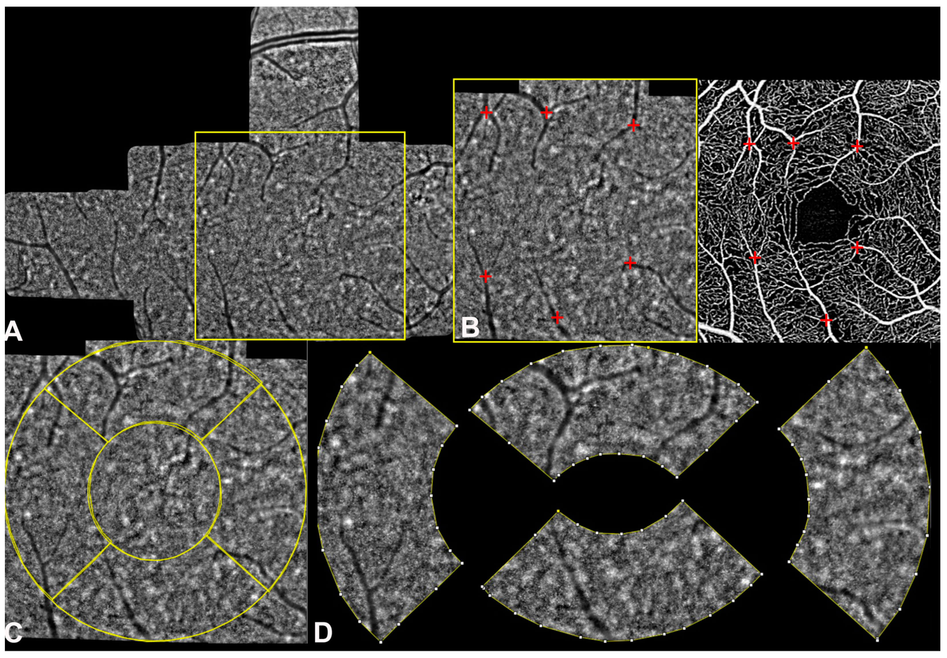 Biomedicines 12 02614 g001