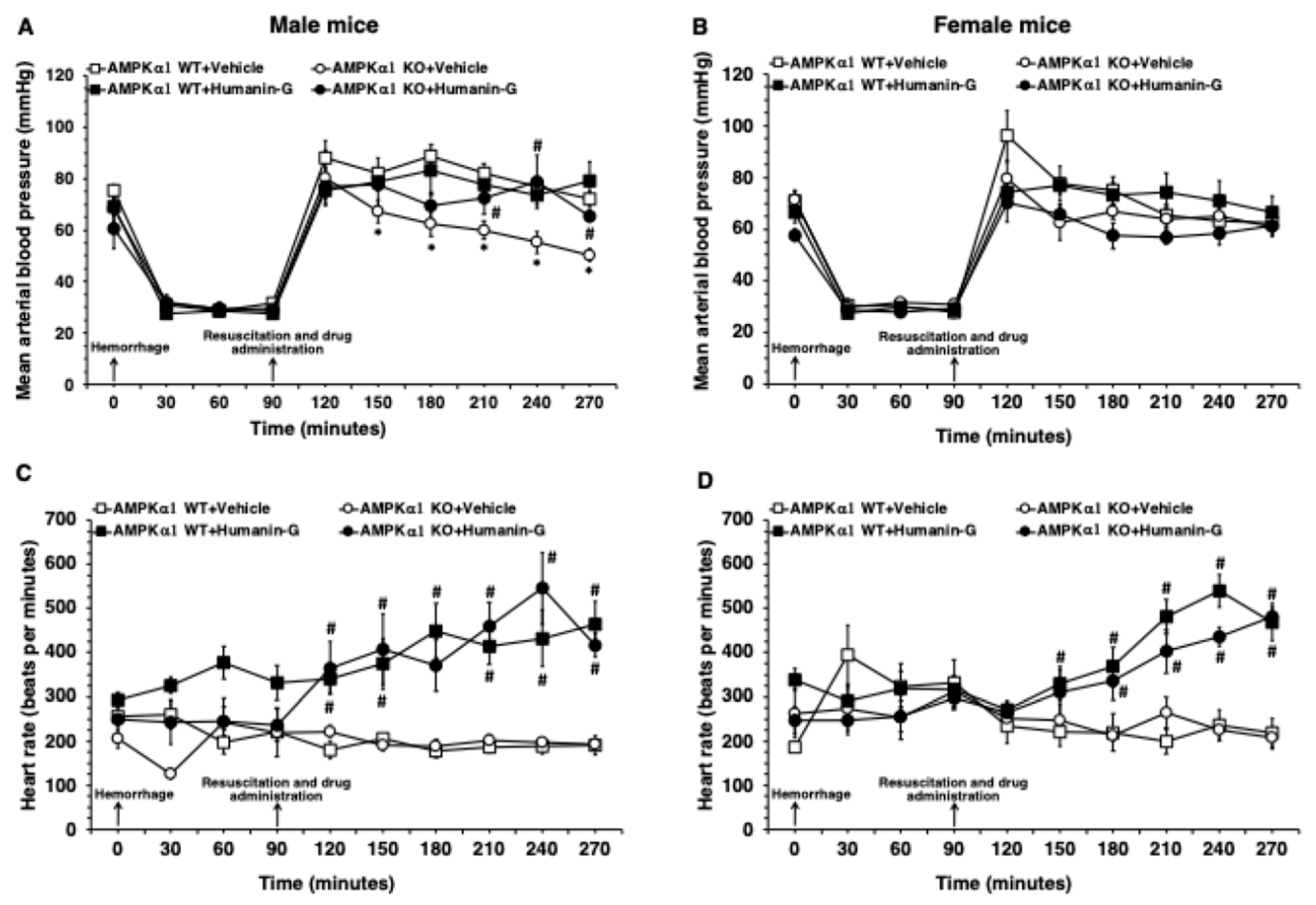 Biomedicines 12 02615 g001
