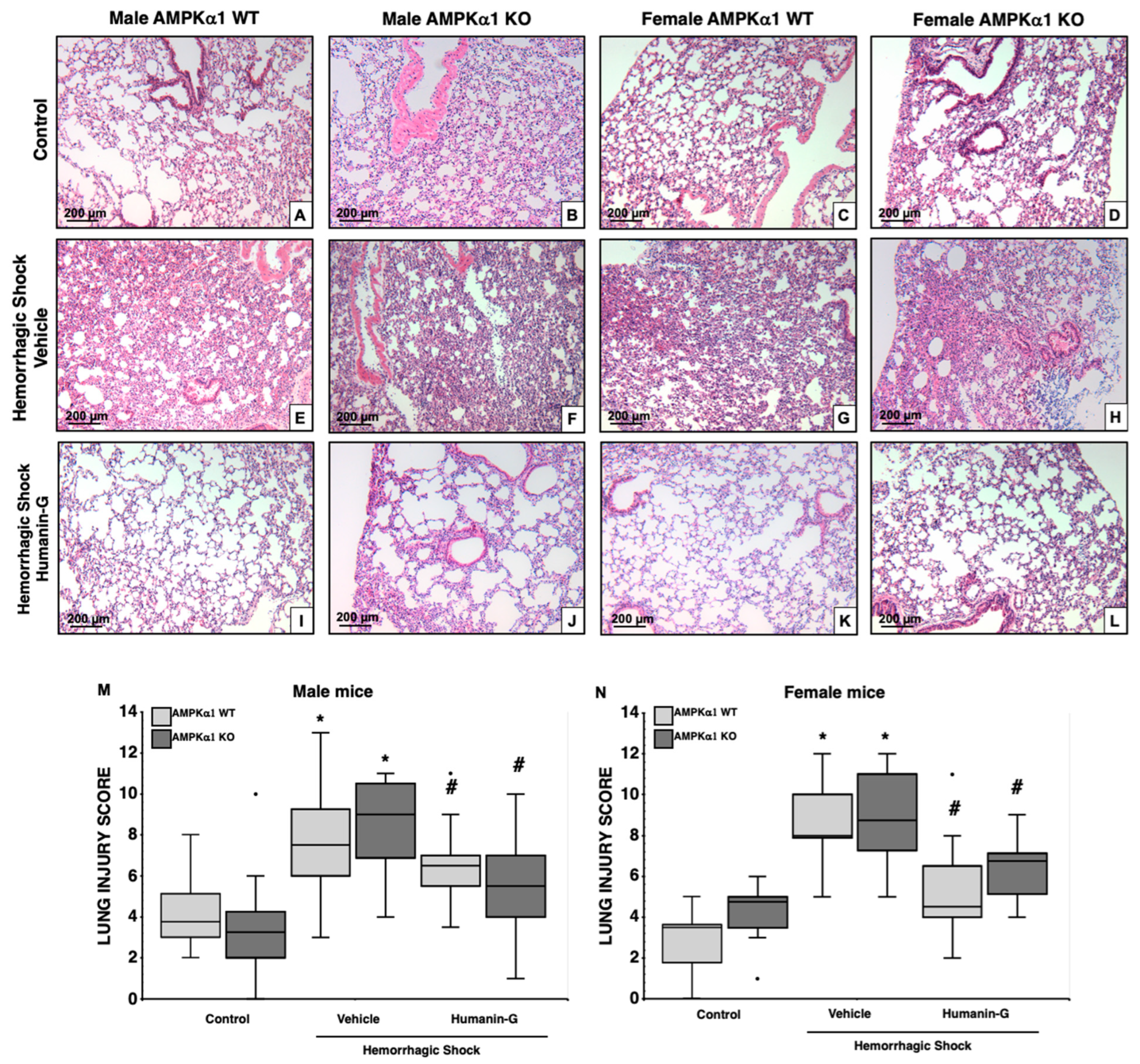 Biomedicines 12 02615 g002