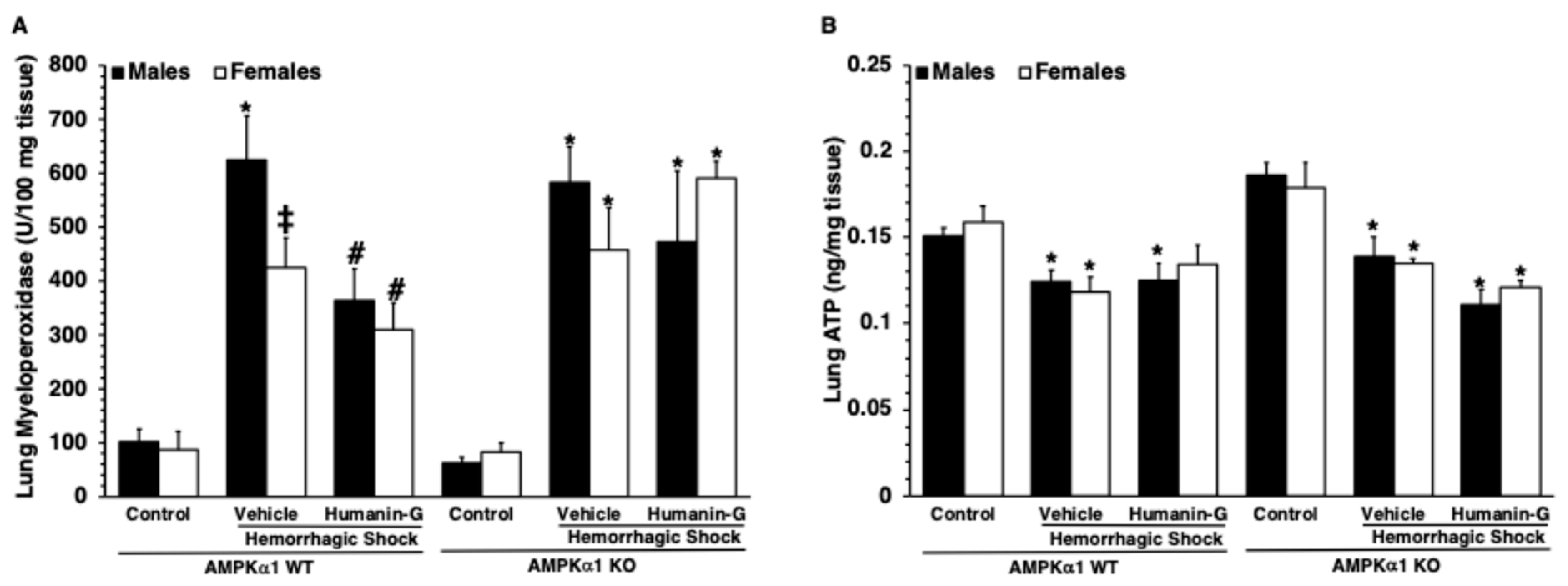 Biomedicines 12 02615 g003
