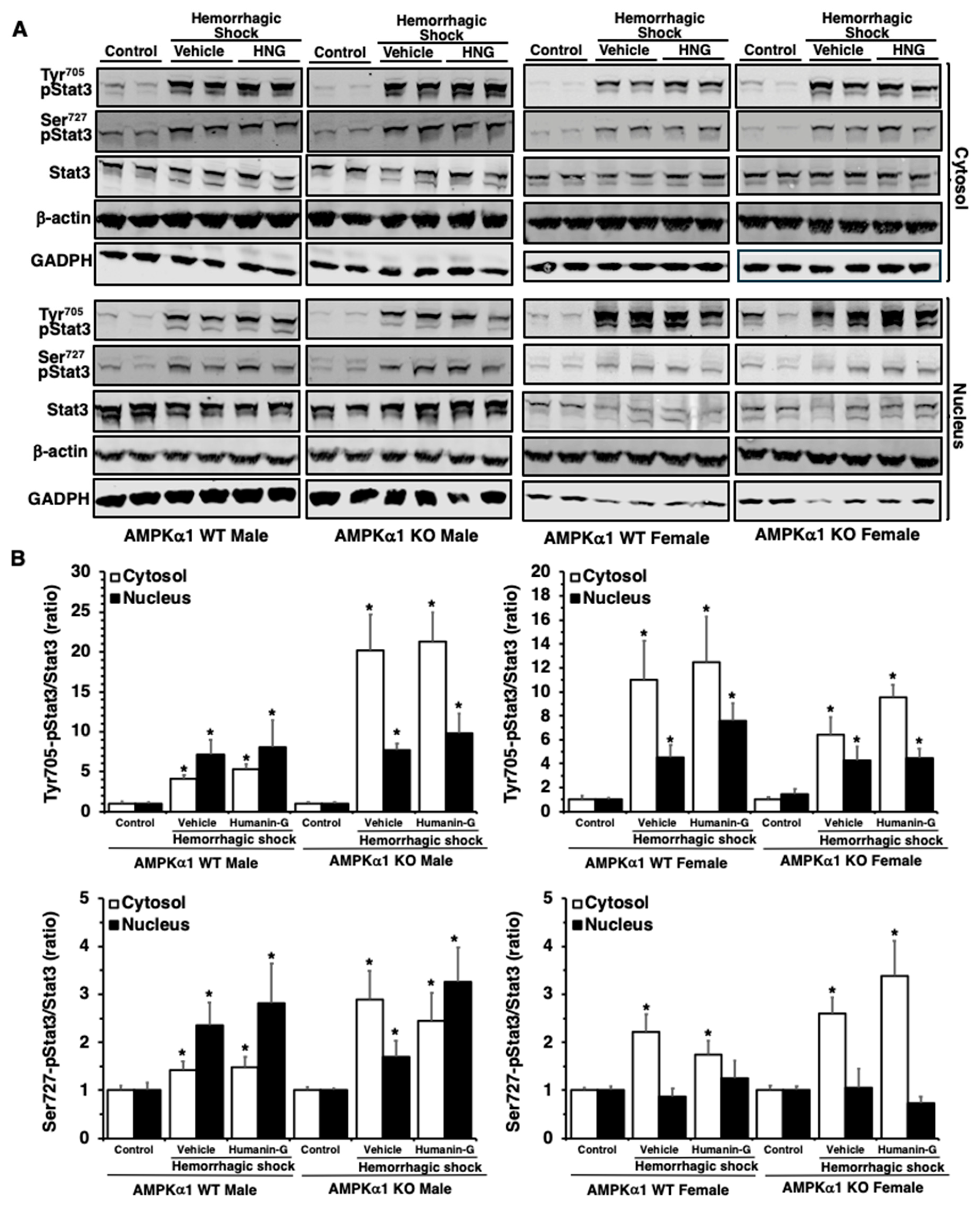 Biomedicines 12 02615 g005