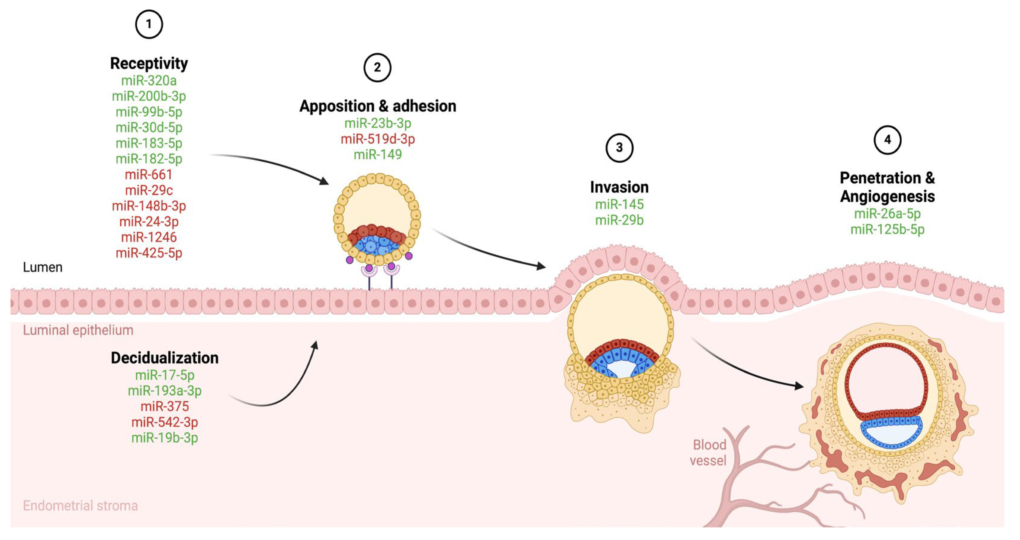 Biomedicines 12 02618 g001
