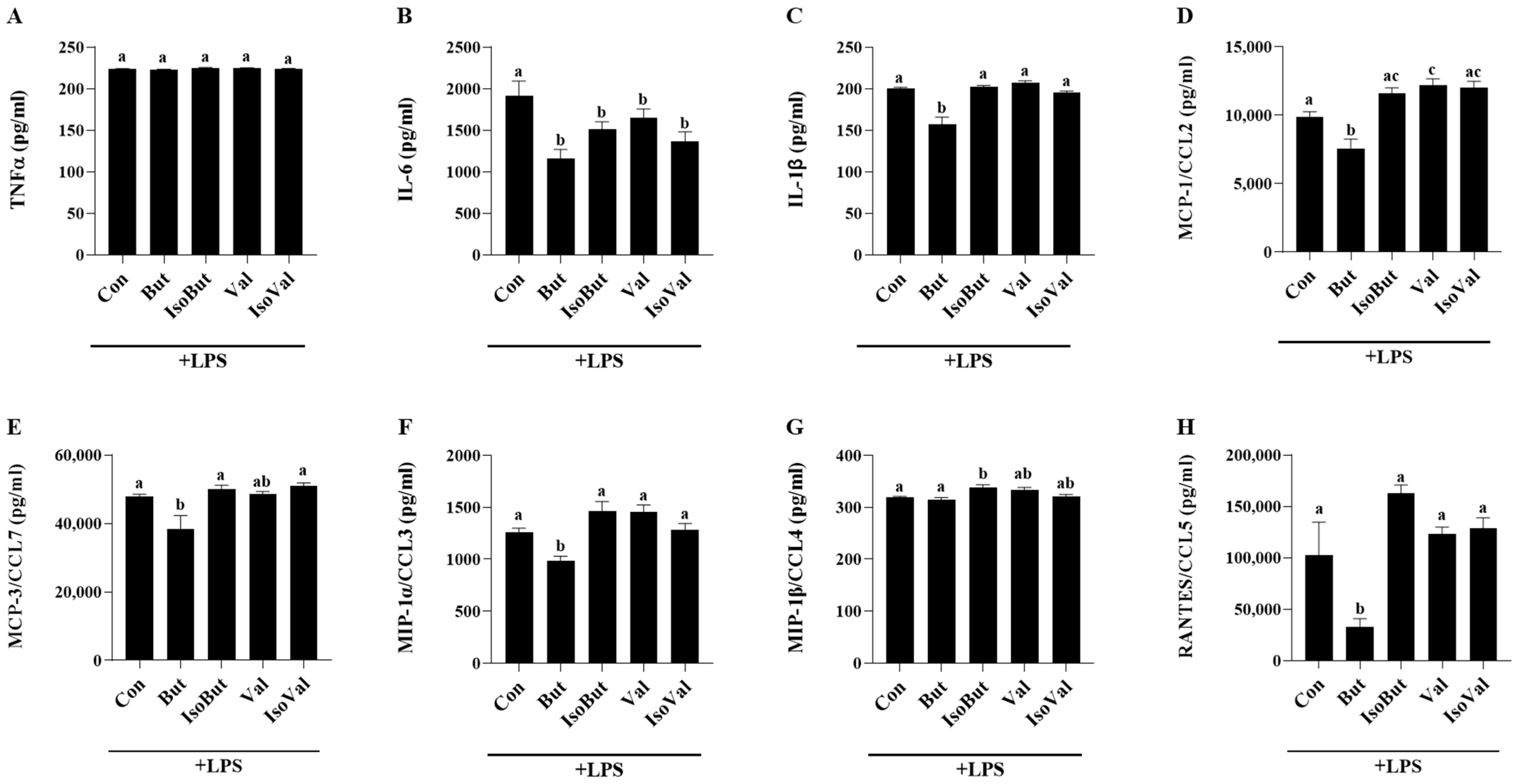Biomedicines 12 02621 g001