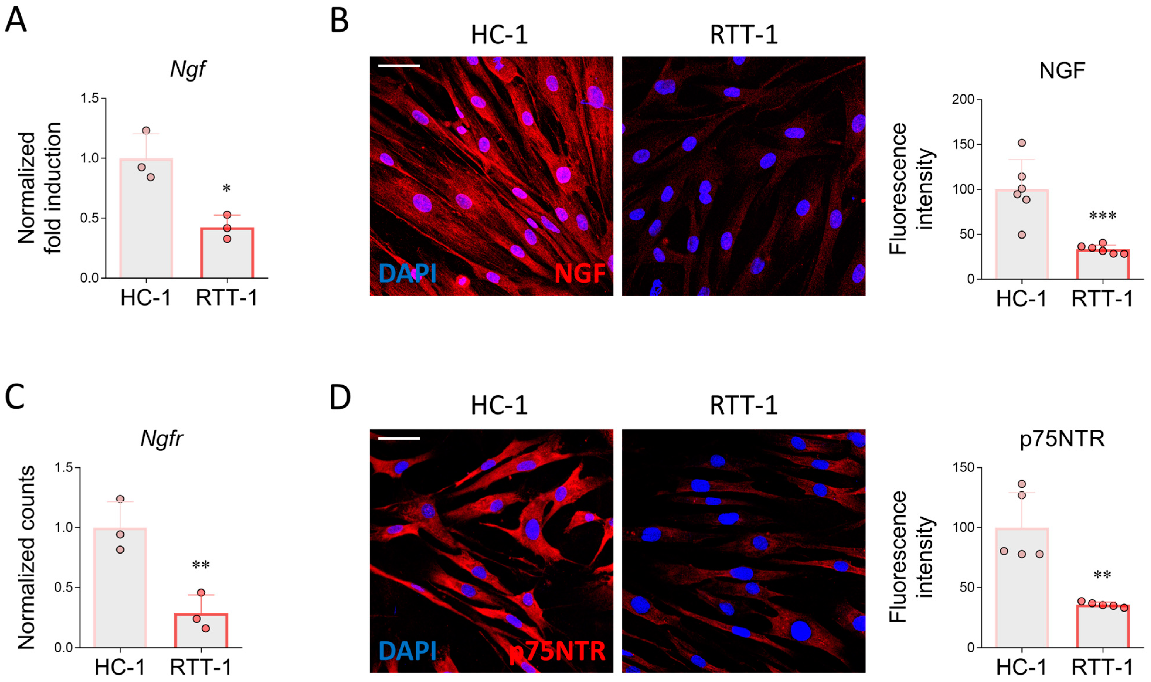Biomedicines 12 02624 g001