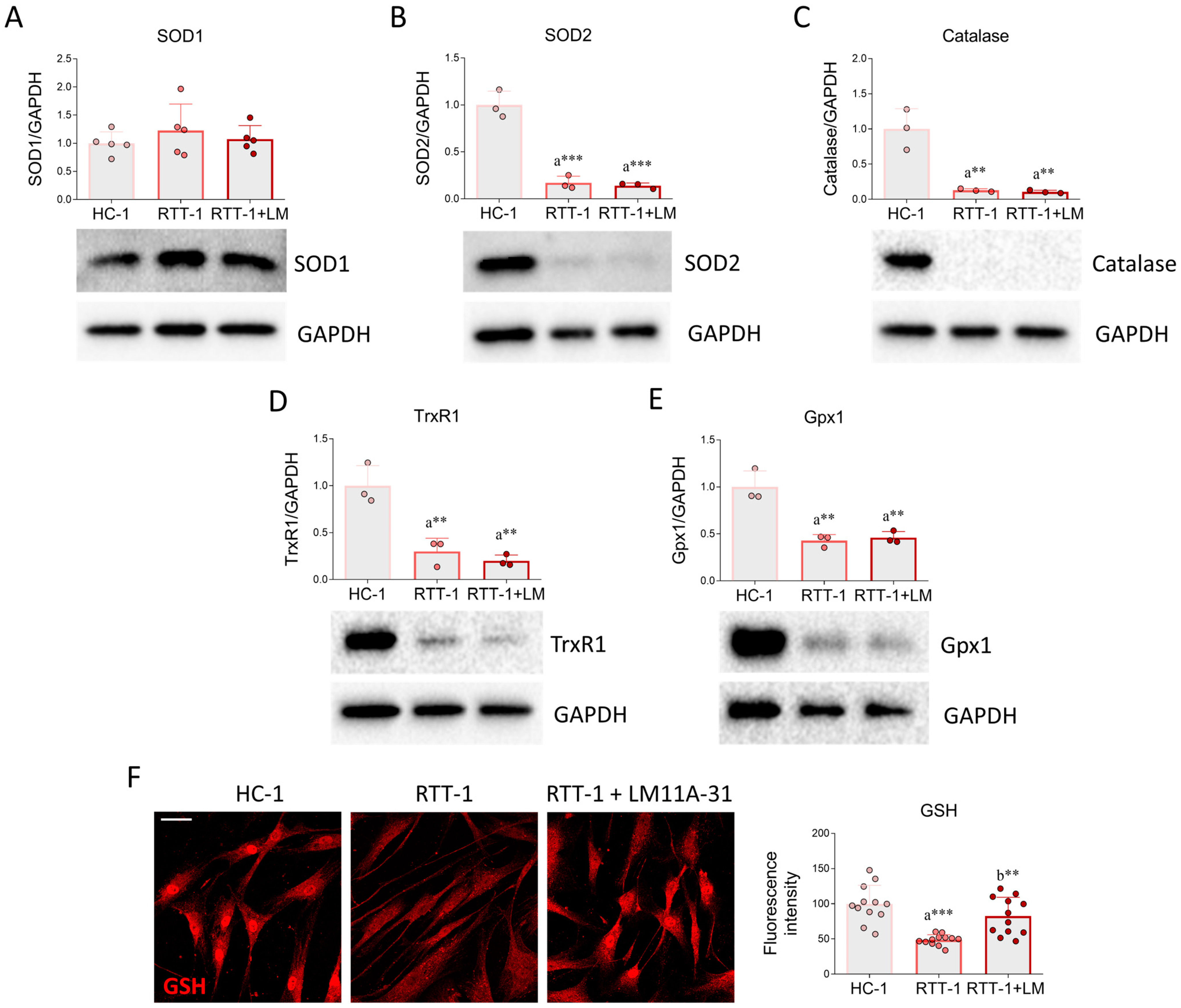 Biomedicines 12 02624 g003