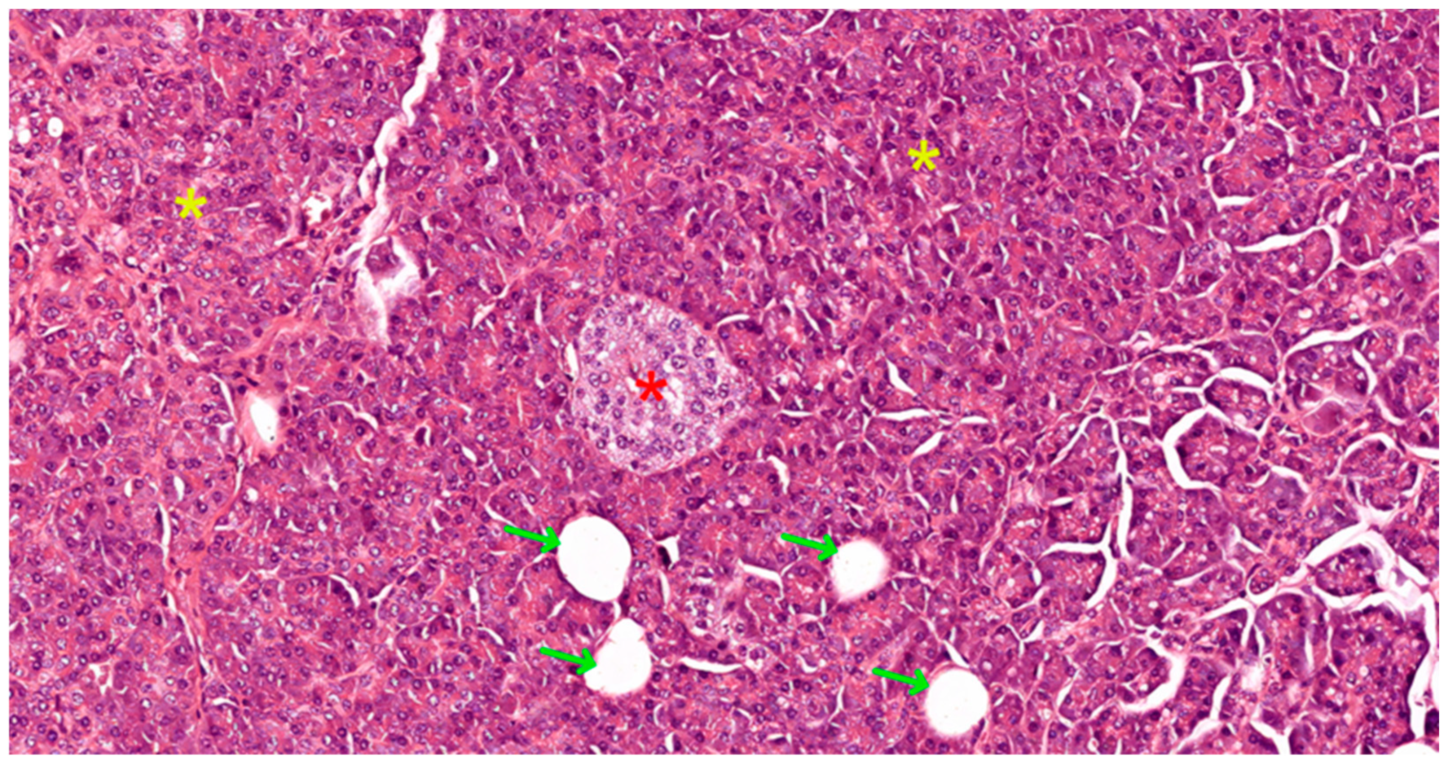Biomedicines 12 02627 g003