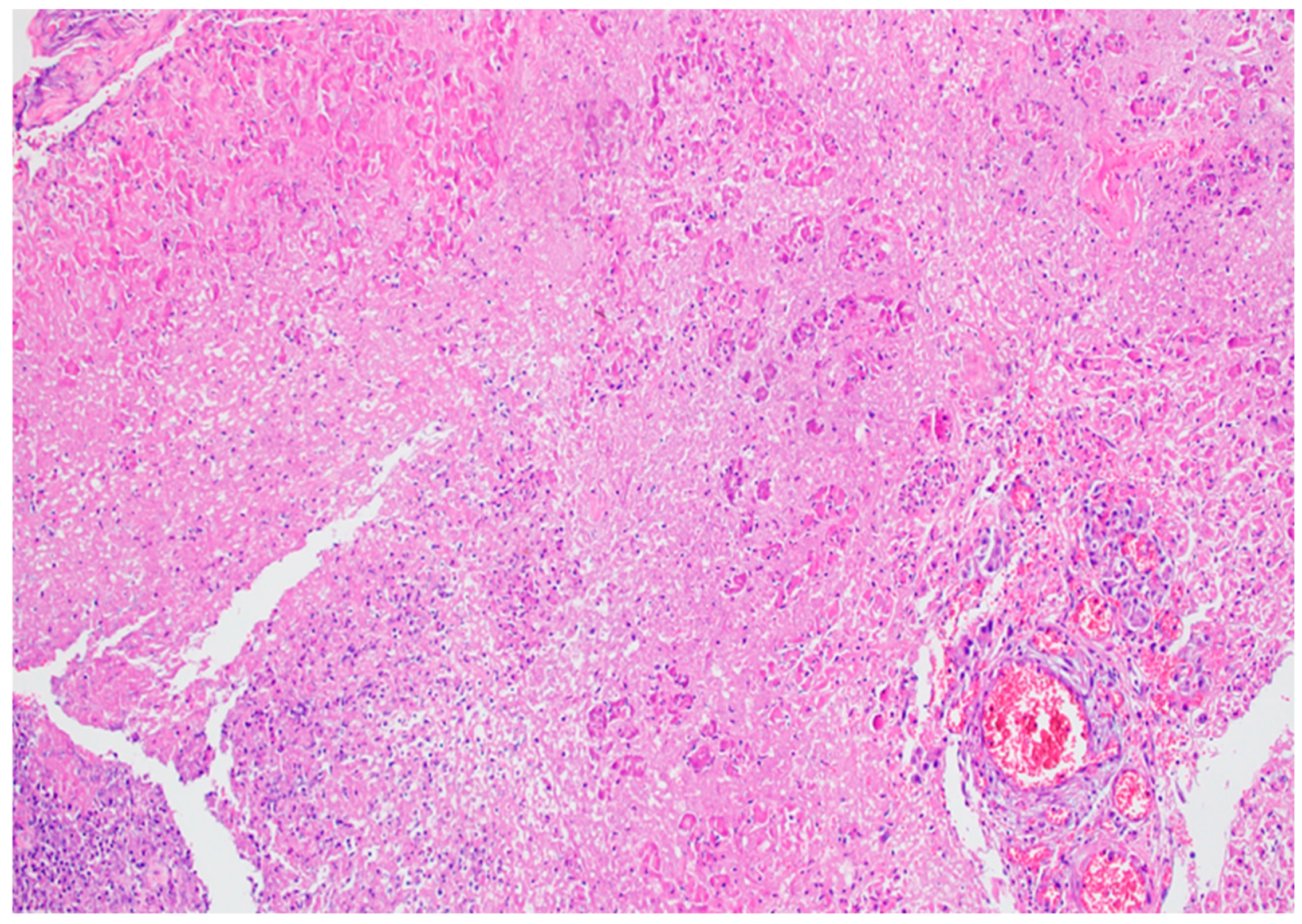 Biomedicines 12 02627 g012