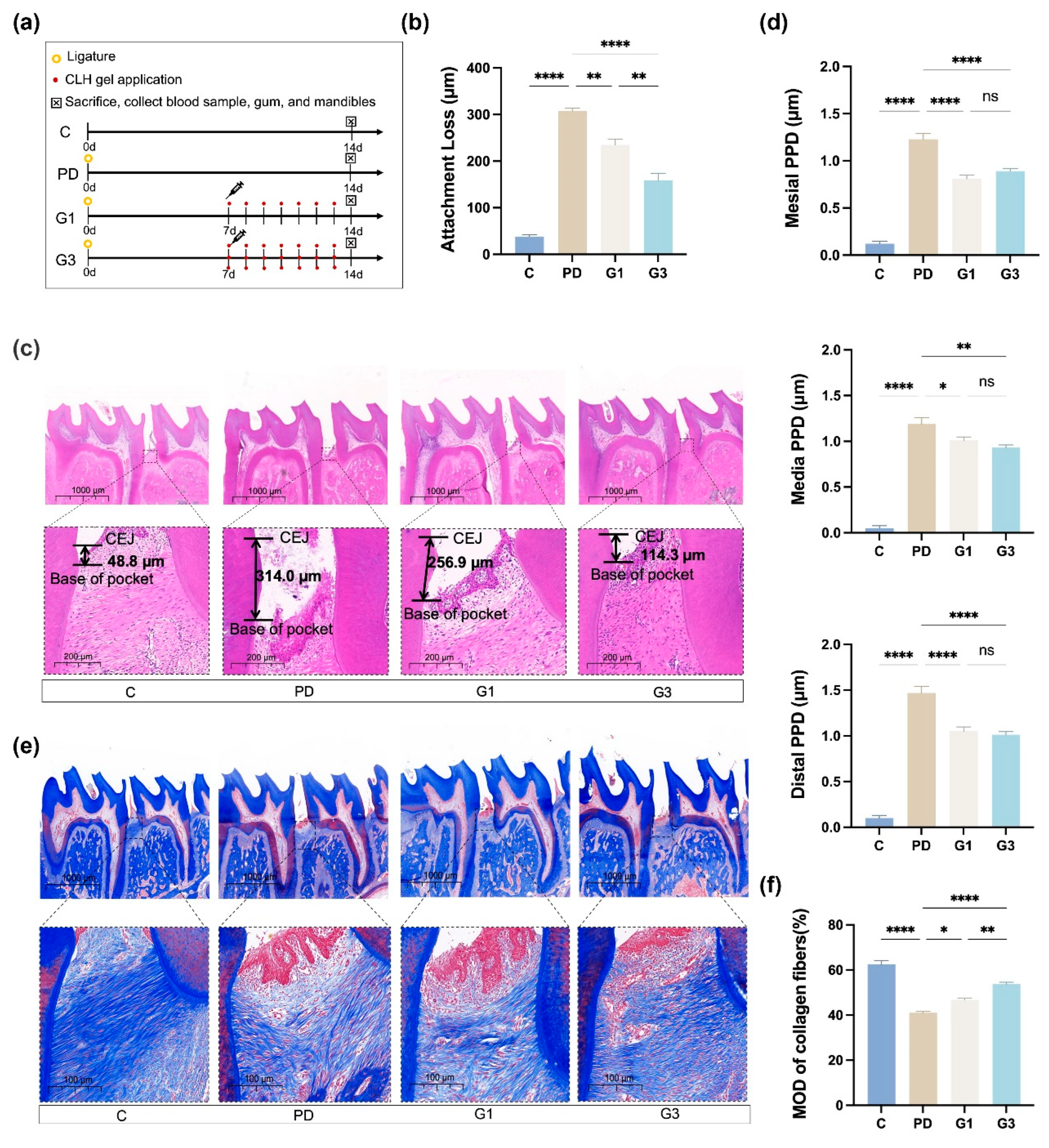 Biomedicines 12 02629 g001