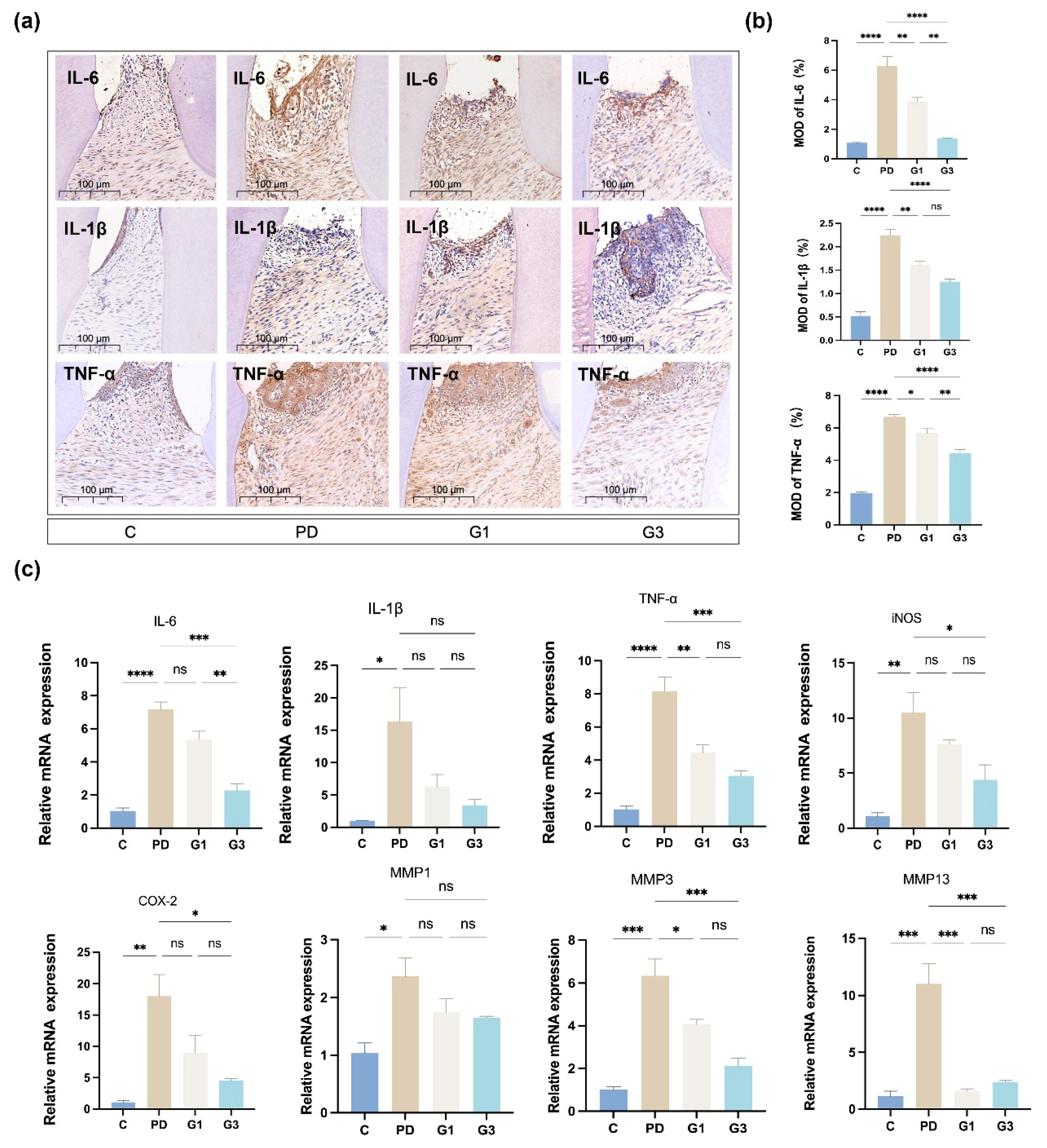 Biomedicines 12 02629 g004