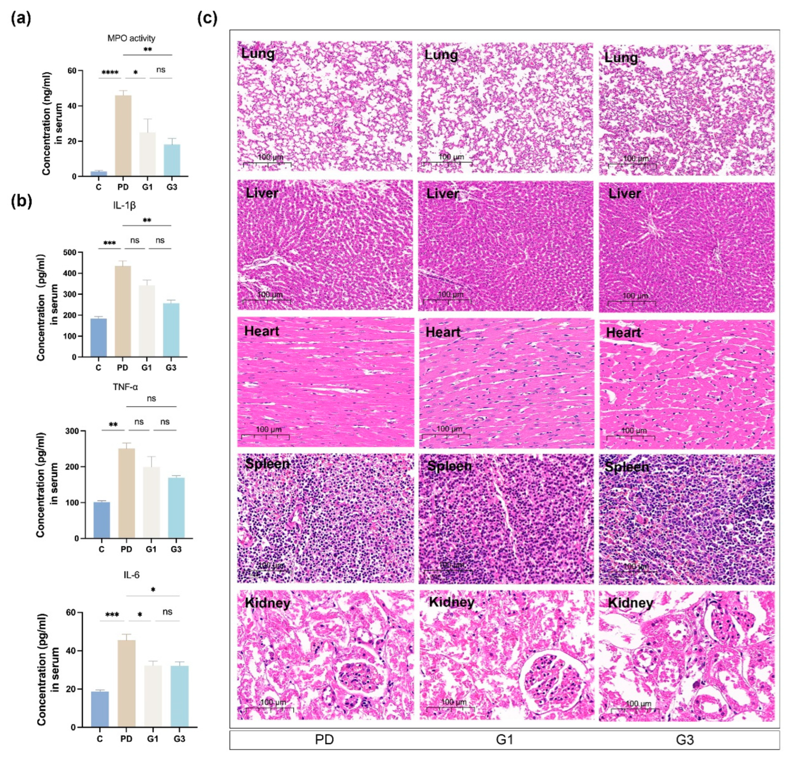 Biomedicines 12 02629 g005