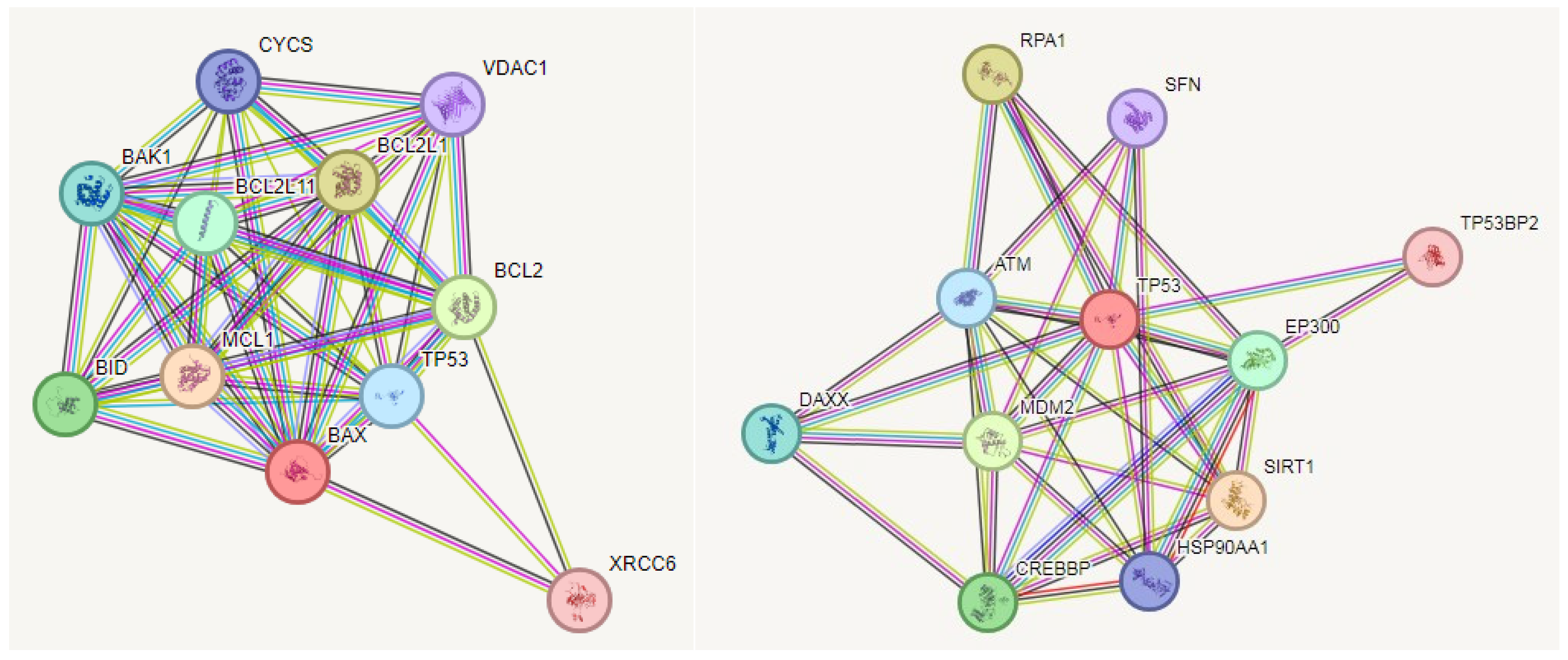 Biomedicines 12 02632 g006