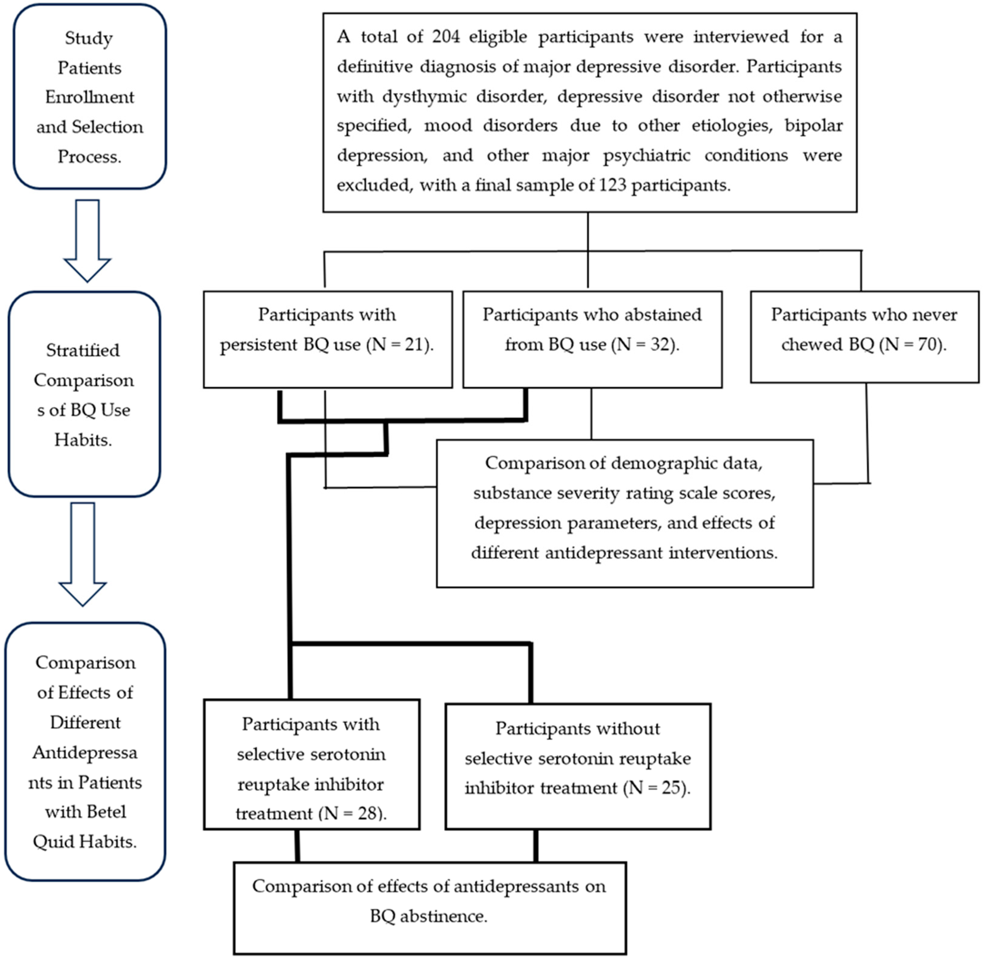 Biomedicines 12 02633 g001